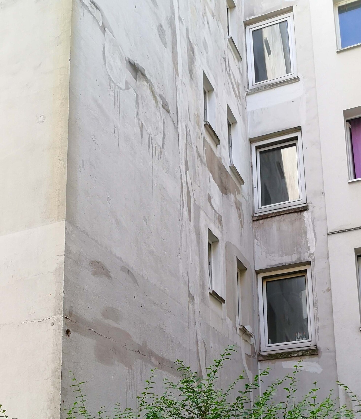 Weiße Hausfassade mit abgeblättertem Putz, mehrere Fenster, vorderer Grünbepflanzung