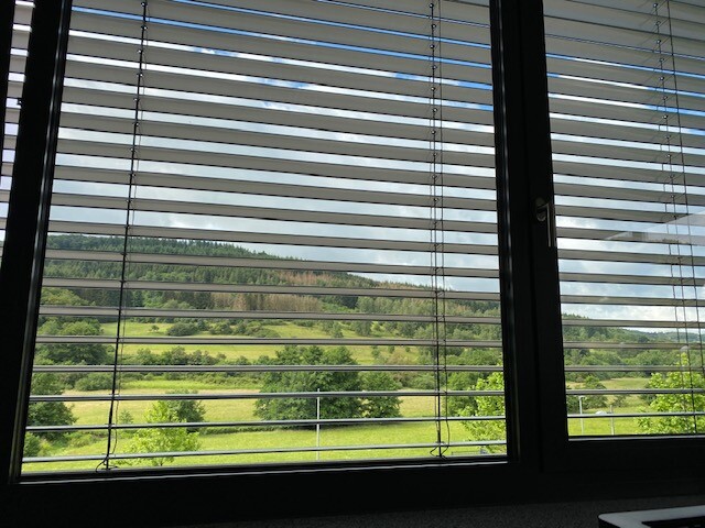 View through horizontal slatted blinds onto green meadows, trees, and hills under a blue sky.