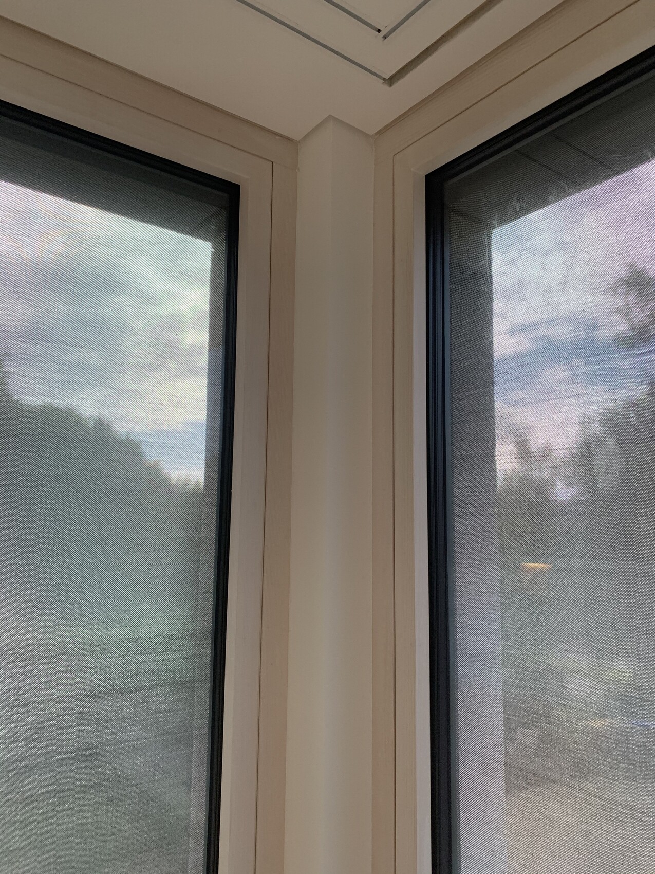 Corner window with two white-framed windows, interior view, looking outside at trees and sky.