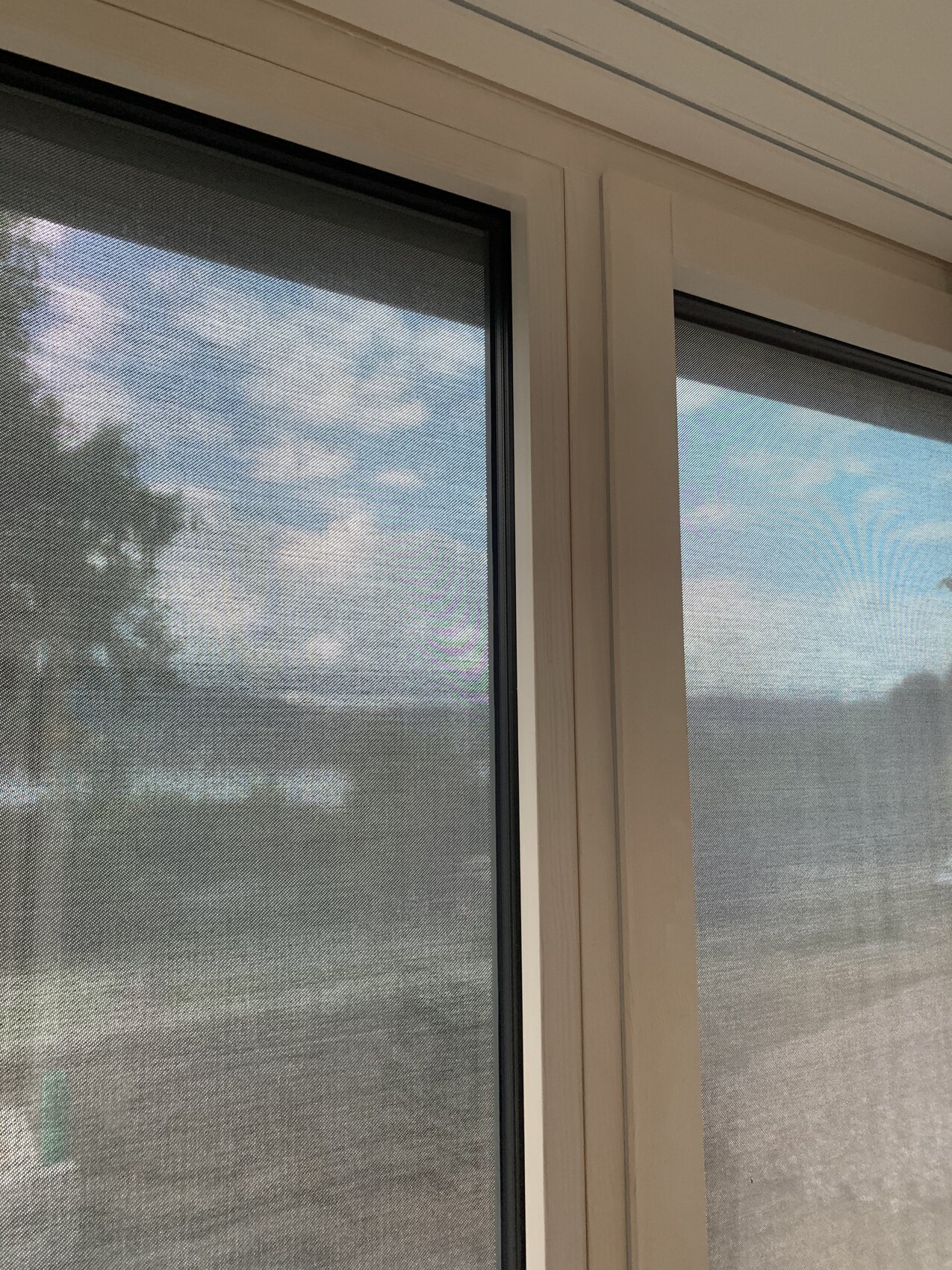 Interior view of a white window frame with insect screen; looking outside at sky and trees.