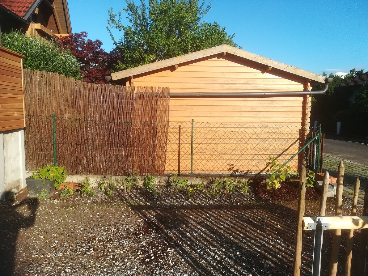 Wooden shed behind wire fence with bamboo privacy screen, garden plants in front, sunny.