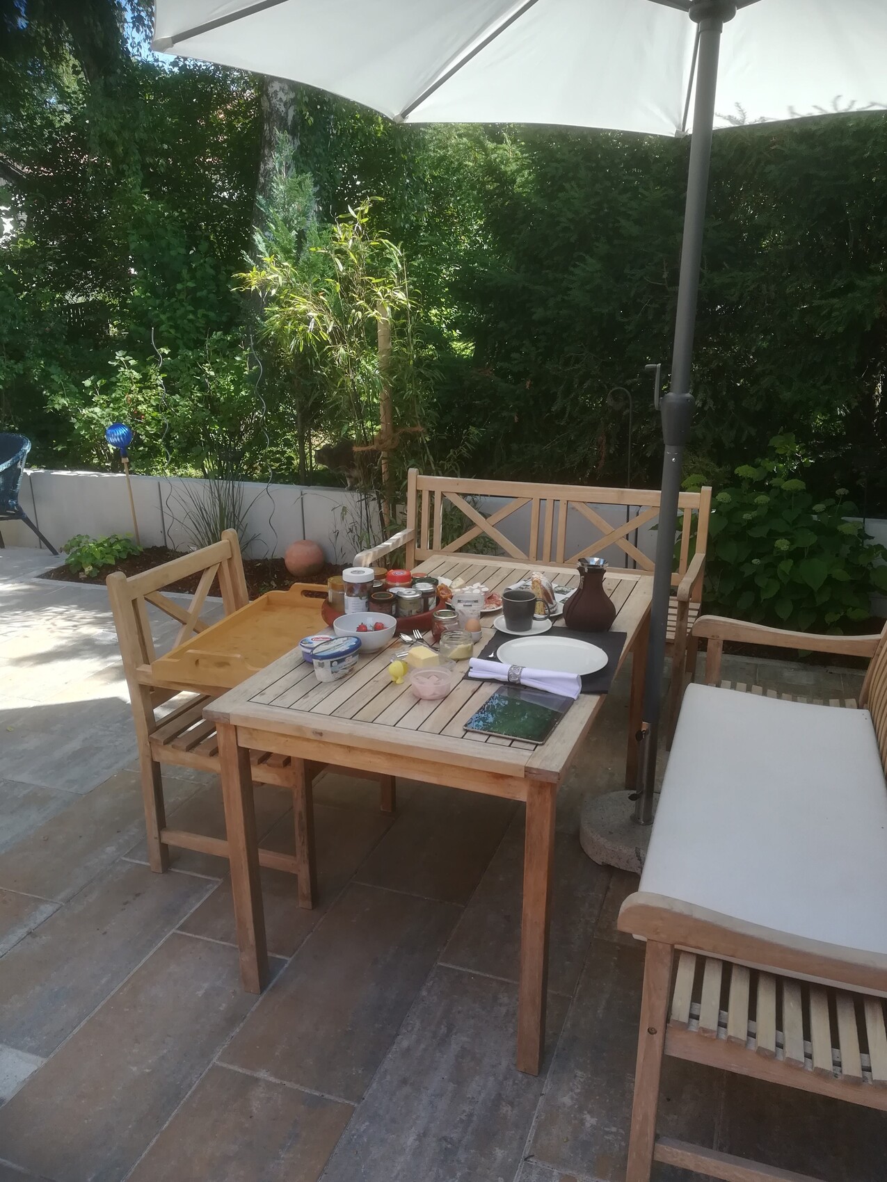 Wooden table with chairs in the garden, large sun umbrella, breakfast setting with glasses.