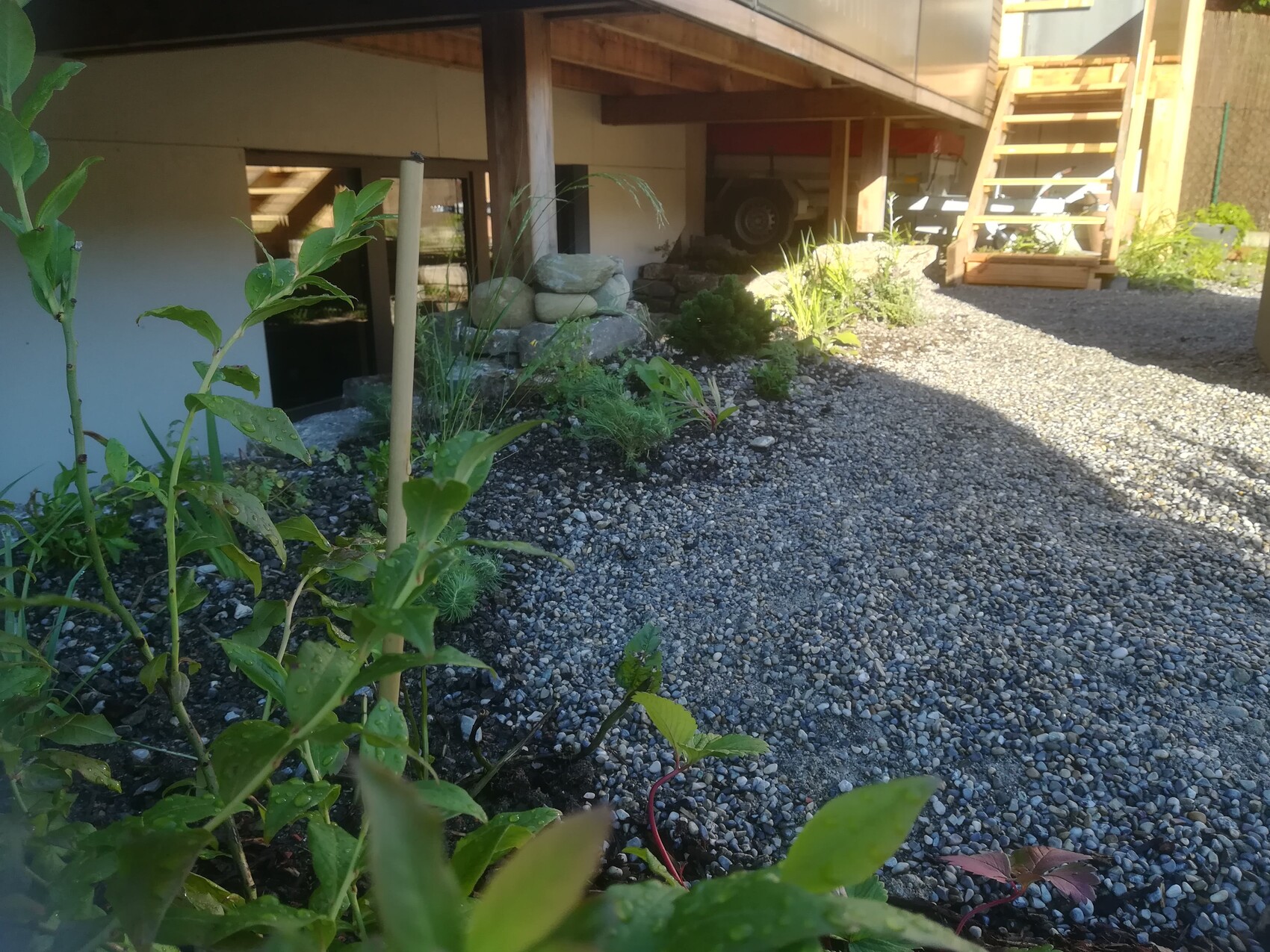 View of gravel path next to house with wooden beams, wooden stairs, and green garden plants.