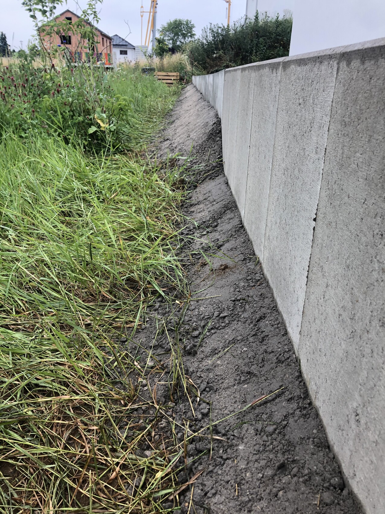 Trench next to a concrete wall at a construction site; grass grows at the edge, construction crane in the background.