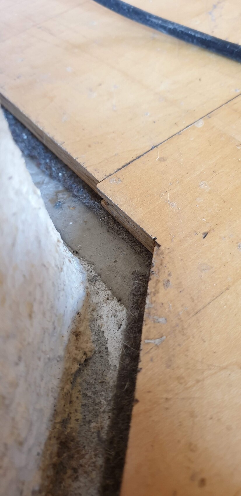 Wooden floor with narrow gap, dust, and cobwebs; concrete wall underneath, black cable lying on top.