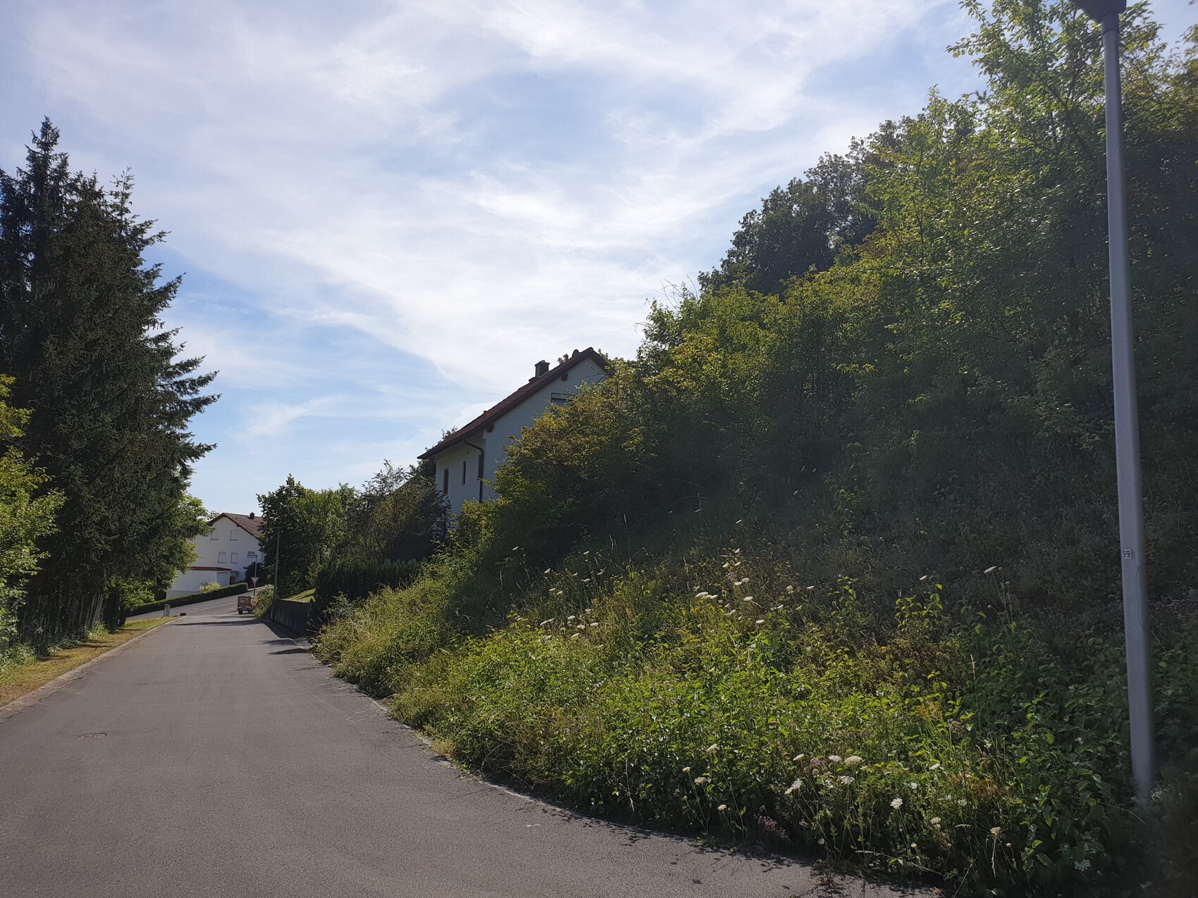 Road along a hillside with shrubbery, house on the left, streetlight on the right, blue sky.
