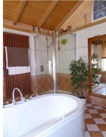 Bathroom with bathtub, wooden ceiling, checkered tiles, and plant