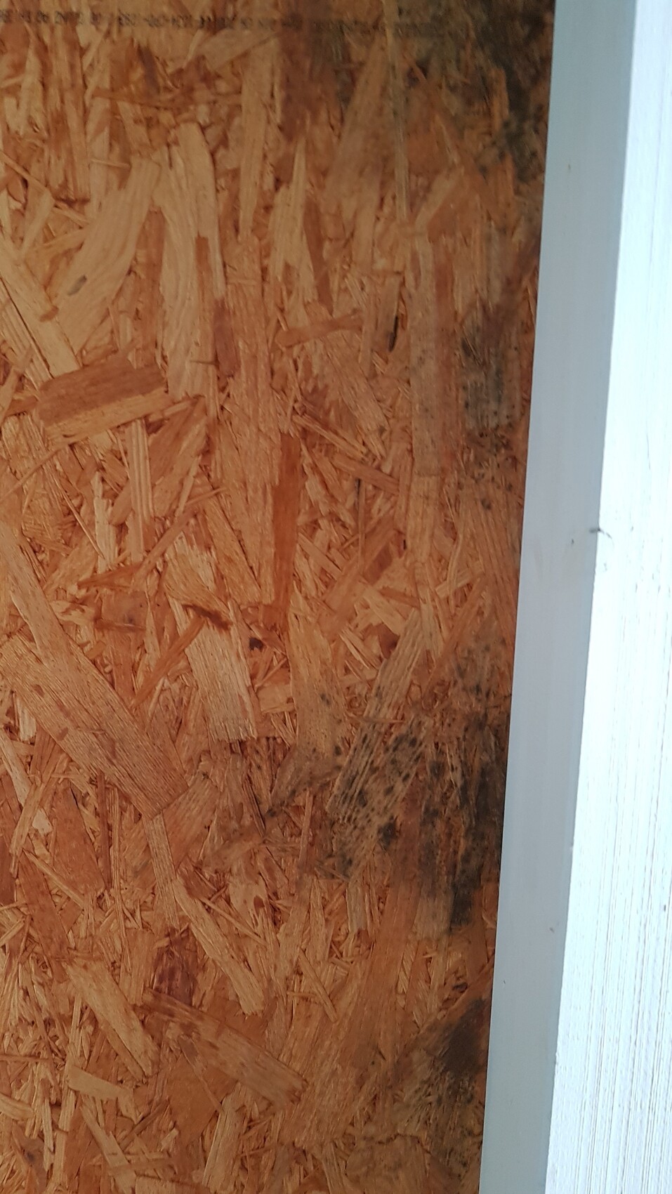 OSB board wall with white frame on the right; dark discoloration on the bottom.