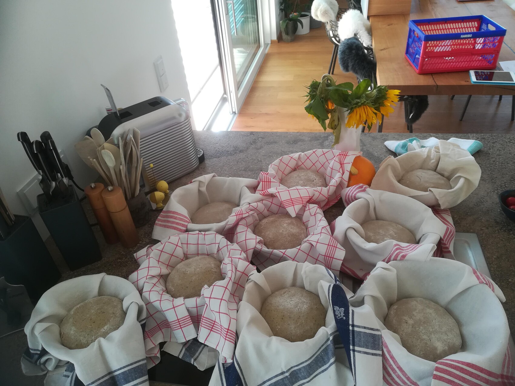 Several round loaves resting in cloth-lined proofing baskets on a kitchen counter; sunflowers in vase in background.