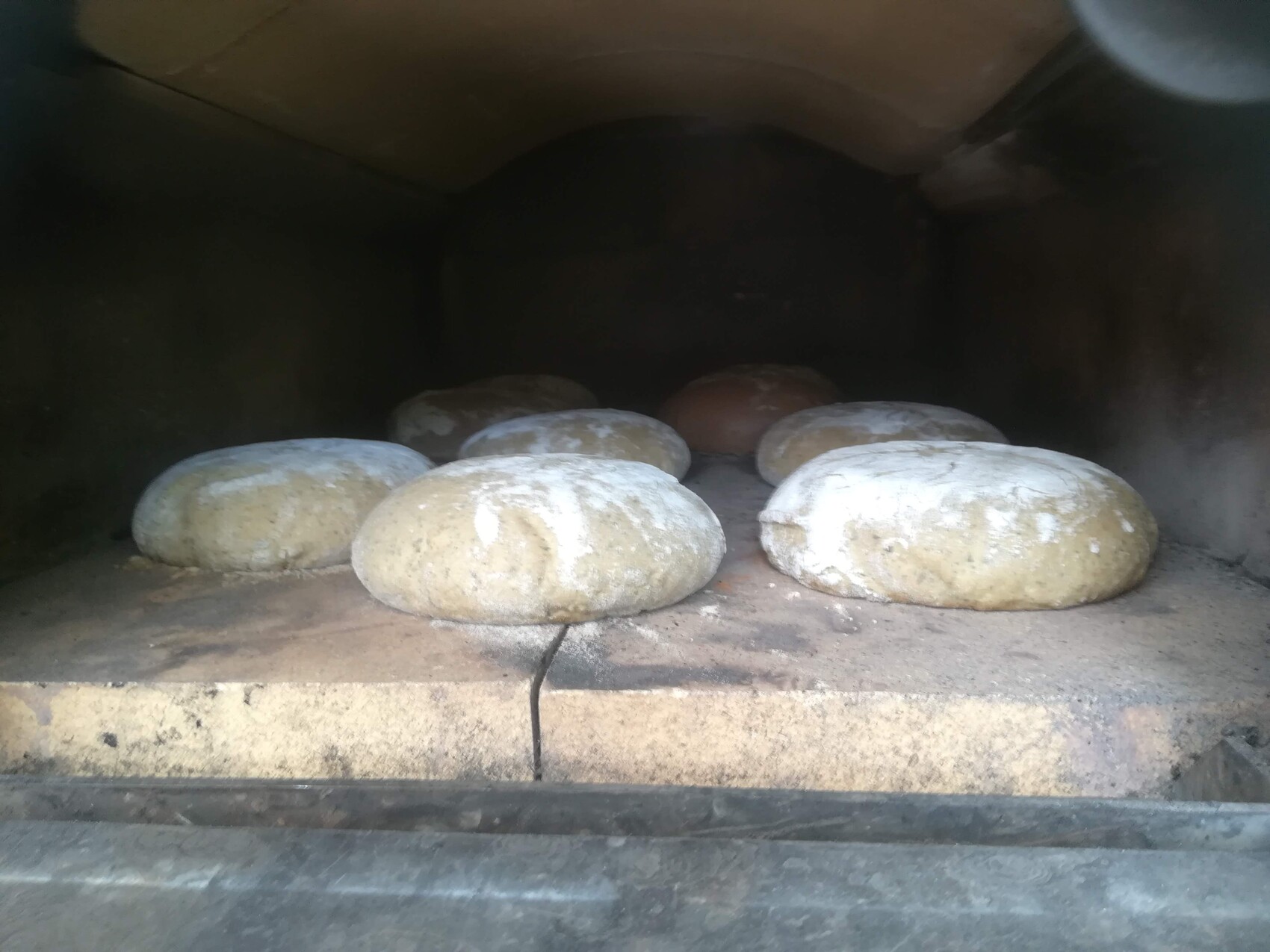 Round loaves dusted with flour resting in a stone oven on a baking stone.