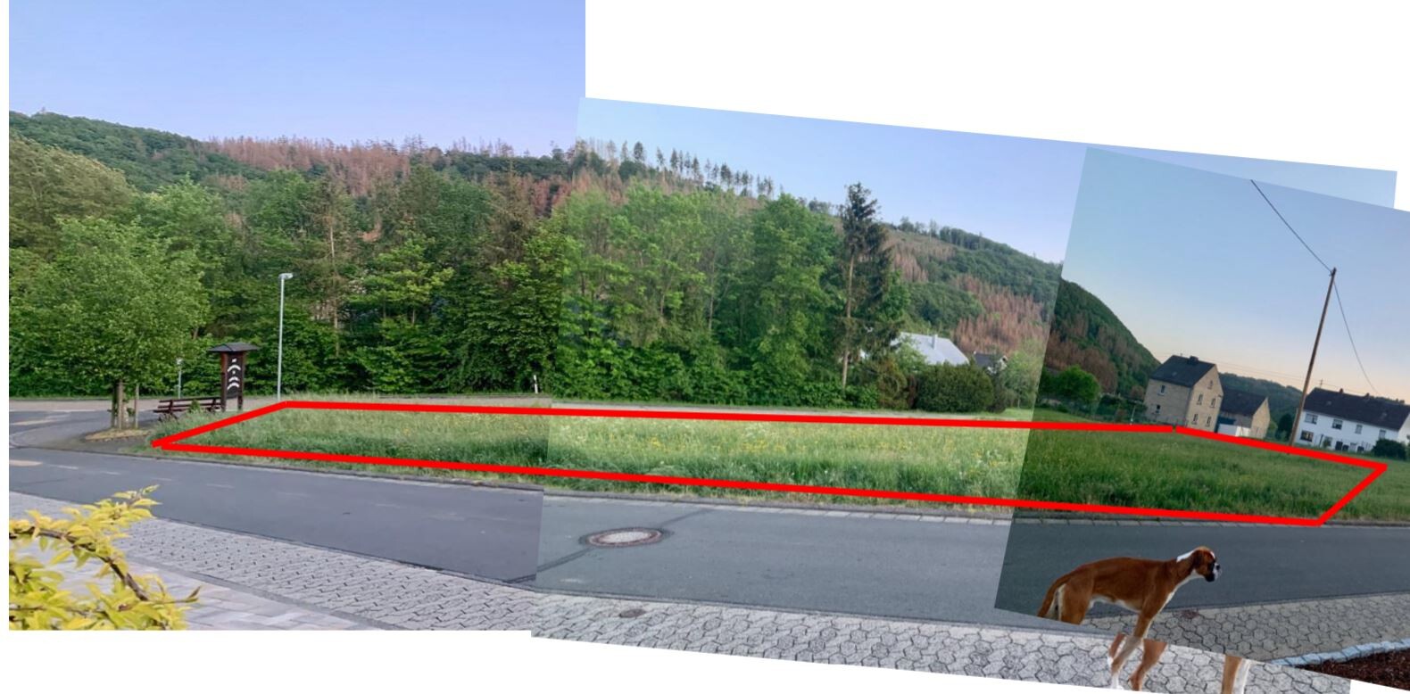 Plot by the roadside with forest, meadow, and houses, red outline marks boundary.