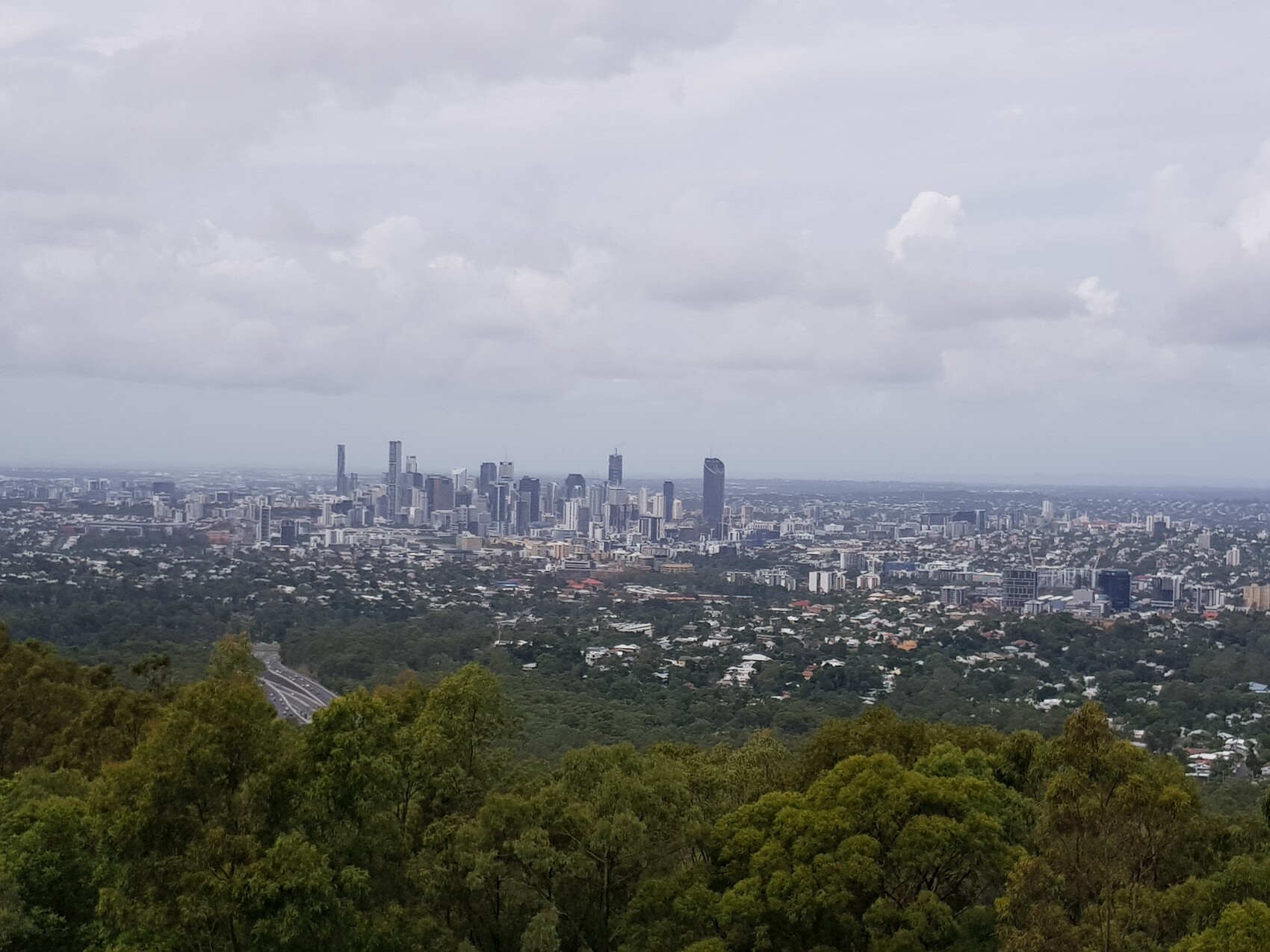 Urban skyline with high-rise buildings on the horizon, view from wooded hills in the foreground.