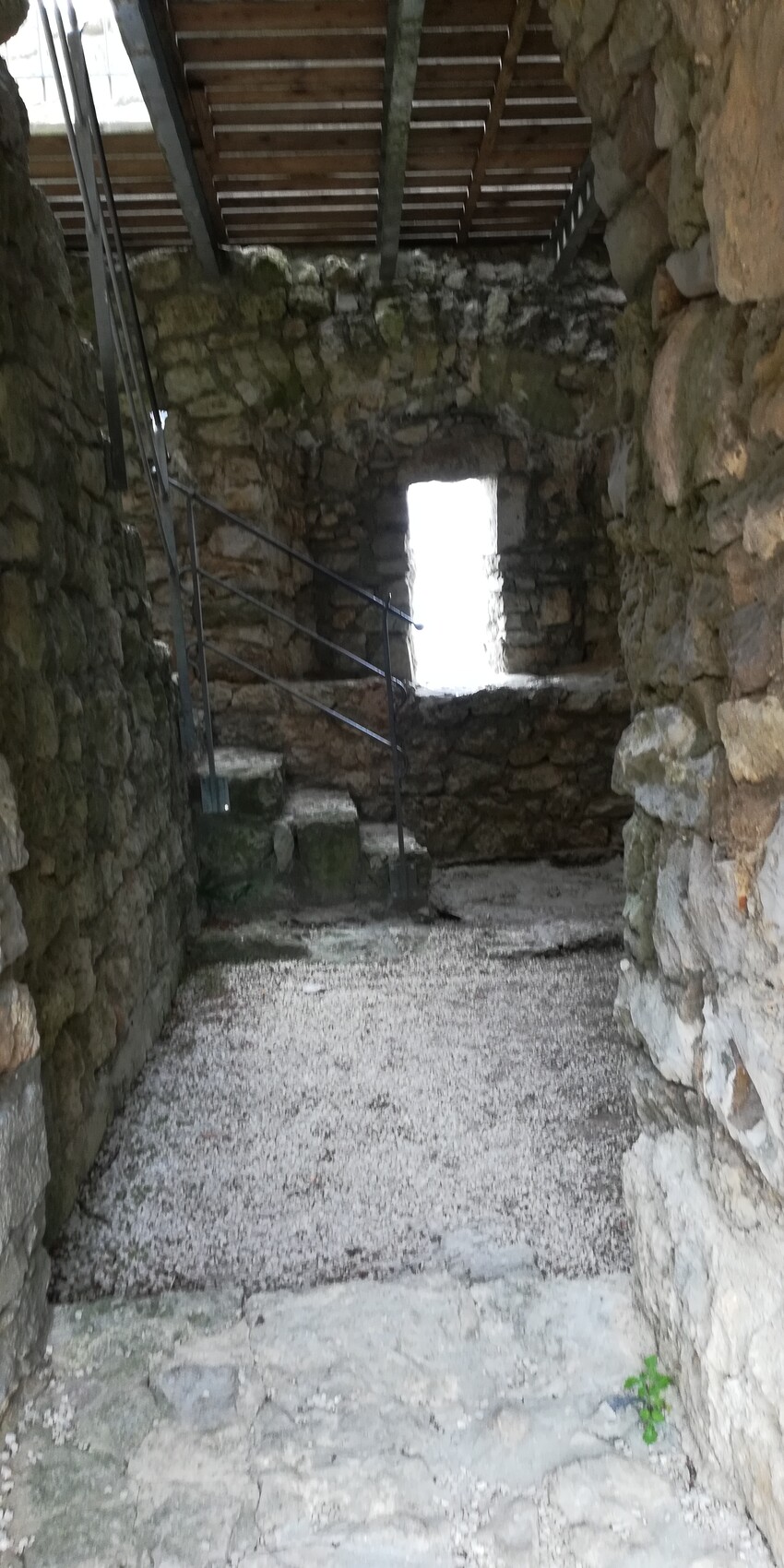 STeinhaus.jpg