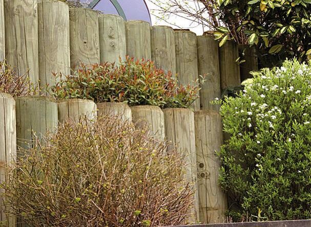 Wooden garden fence with shrubs and green foliage in the foreground.
