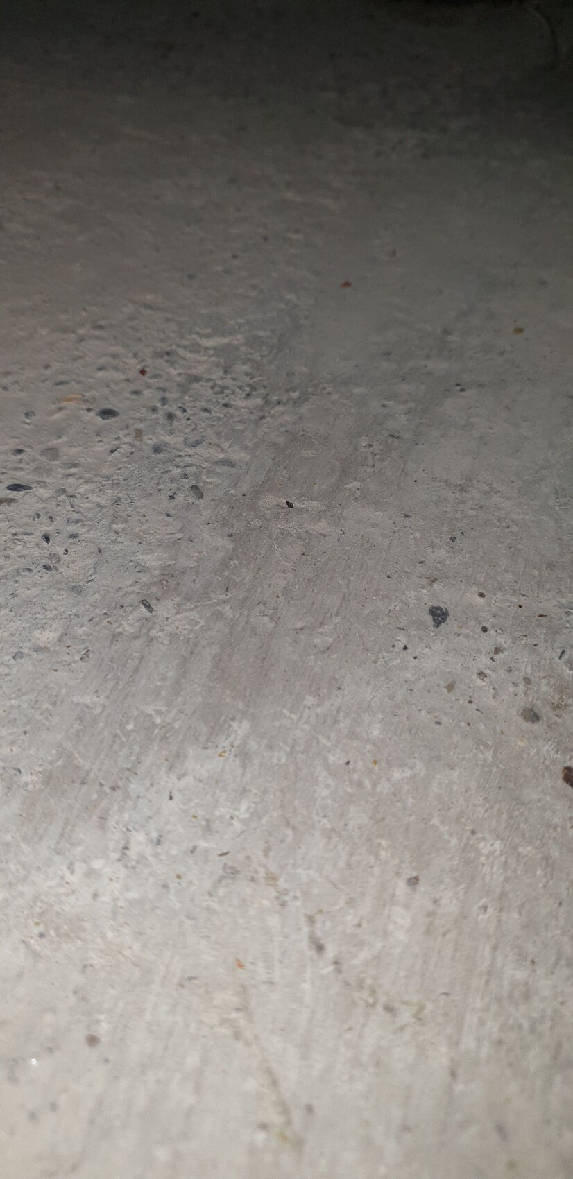 Close-up of a rough concrete surface with dust and small grains