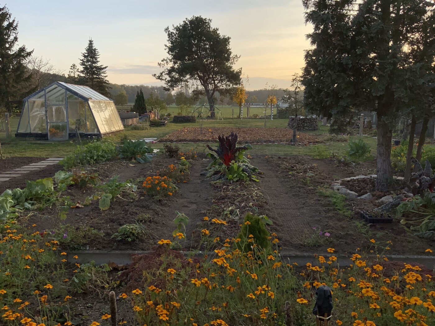 Garten bei Sonnenuntergang mit Gewächshaus links, Beete und orangefarbene Blumen im Vordergrund.