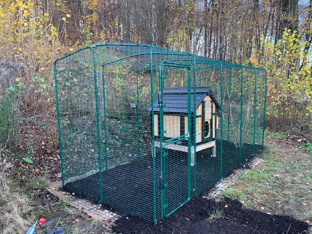 Green metal fencing around a doghouse in the garden, autumn leaves in the background.