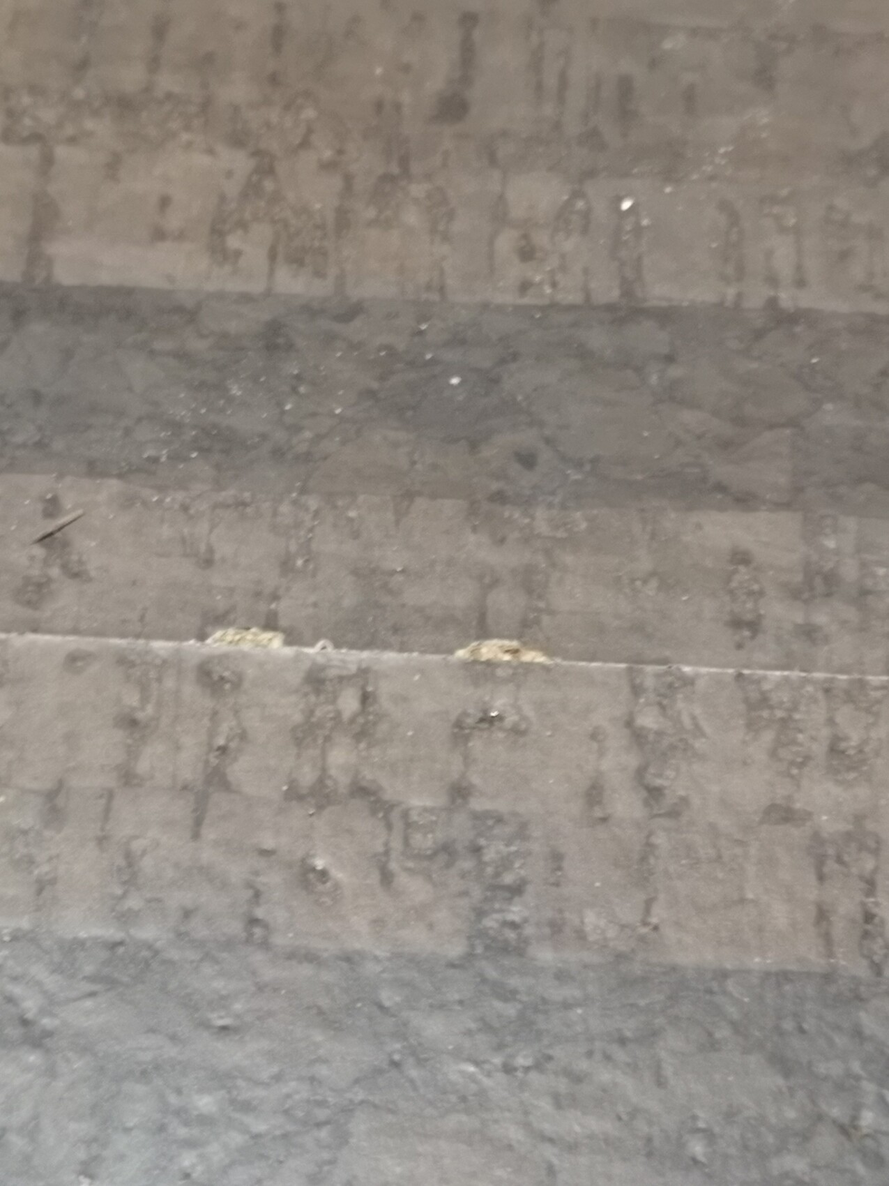 Dirty concrete steps of a staircase with dust and grime.