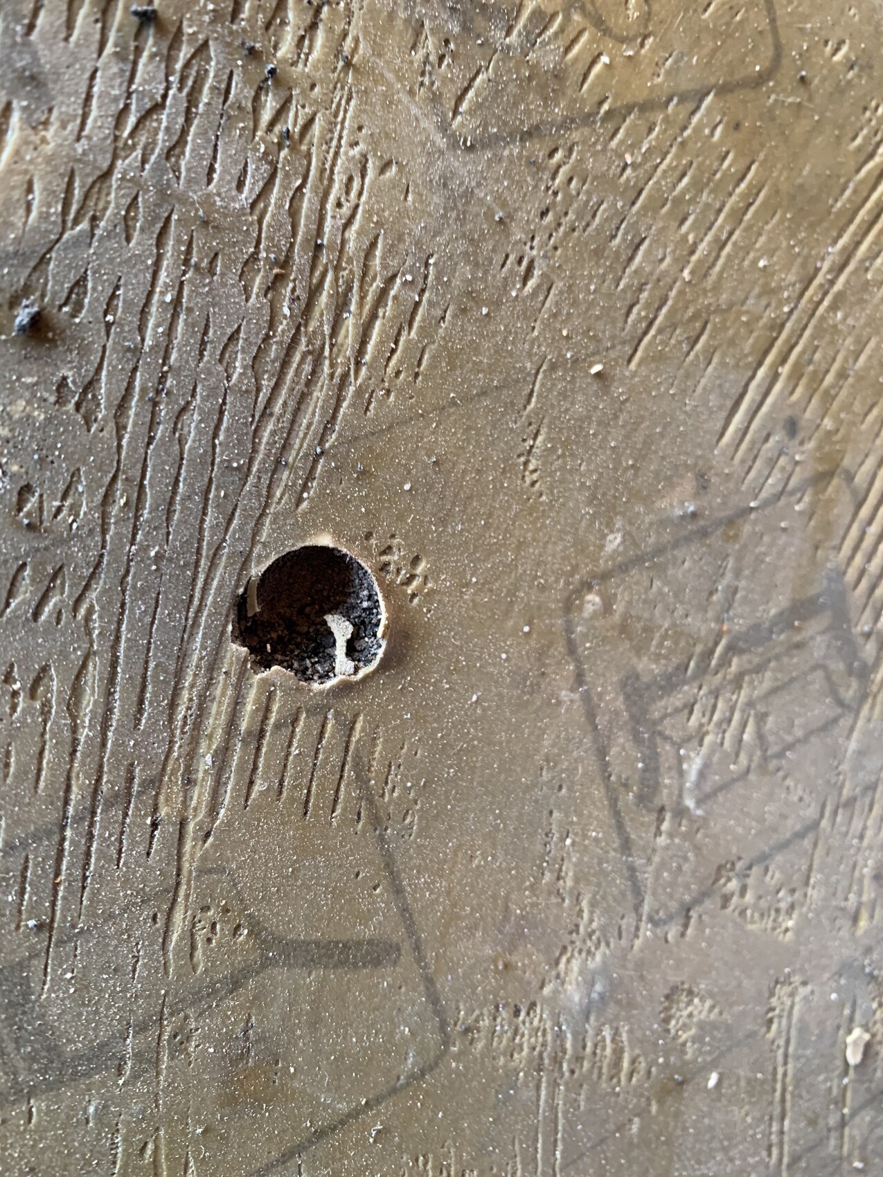 Nahaufnahme einer Holzoberfläche mit kleinem dunklem Rundloch und deutlicher Holzmaserung.