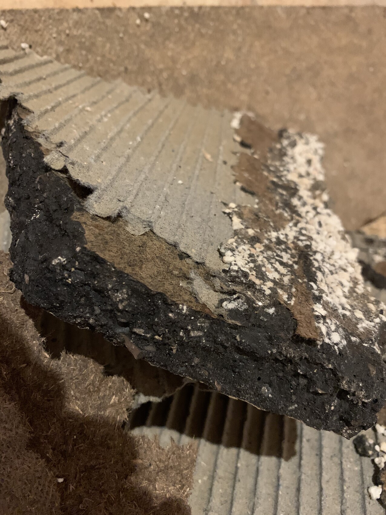 Broken concrete piece with gray surface, brown intermediate layer, and black edge.