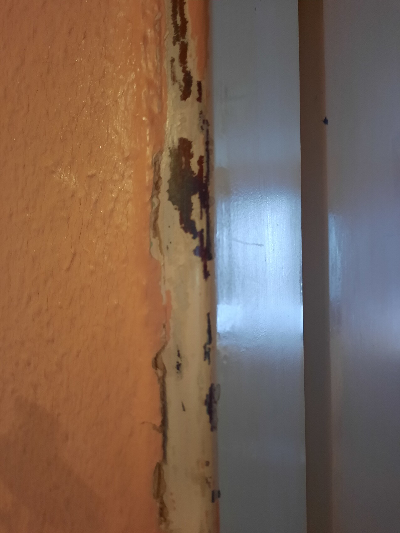 Close-up of a door frame: orange wall side with peeling paint next to silver metal edge.