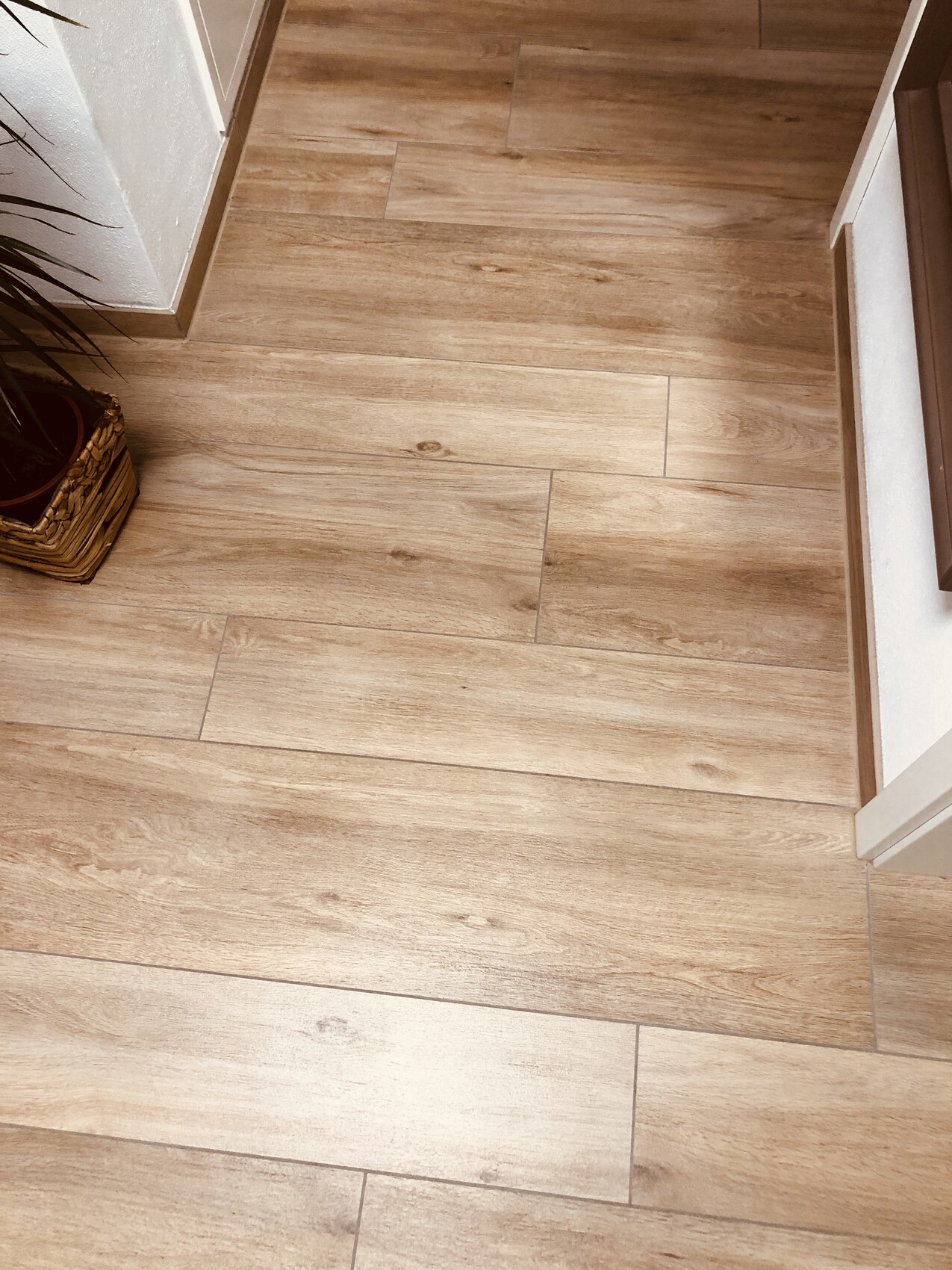 Bright wooden floor made of wood panels, plant in a basket on the left, door or wall edge on the right.