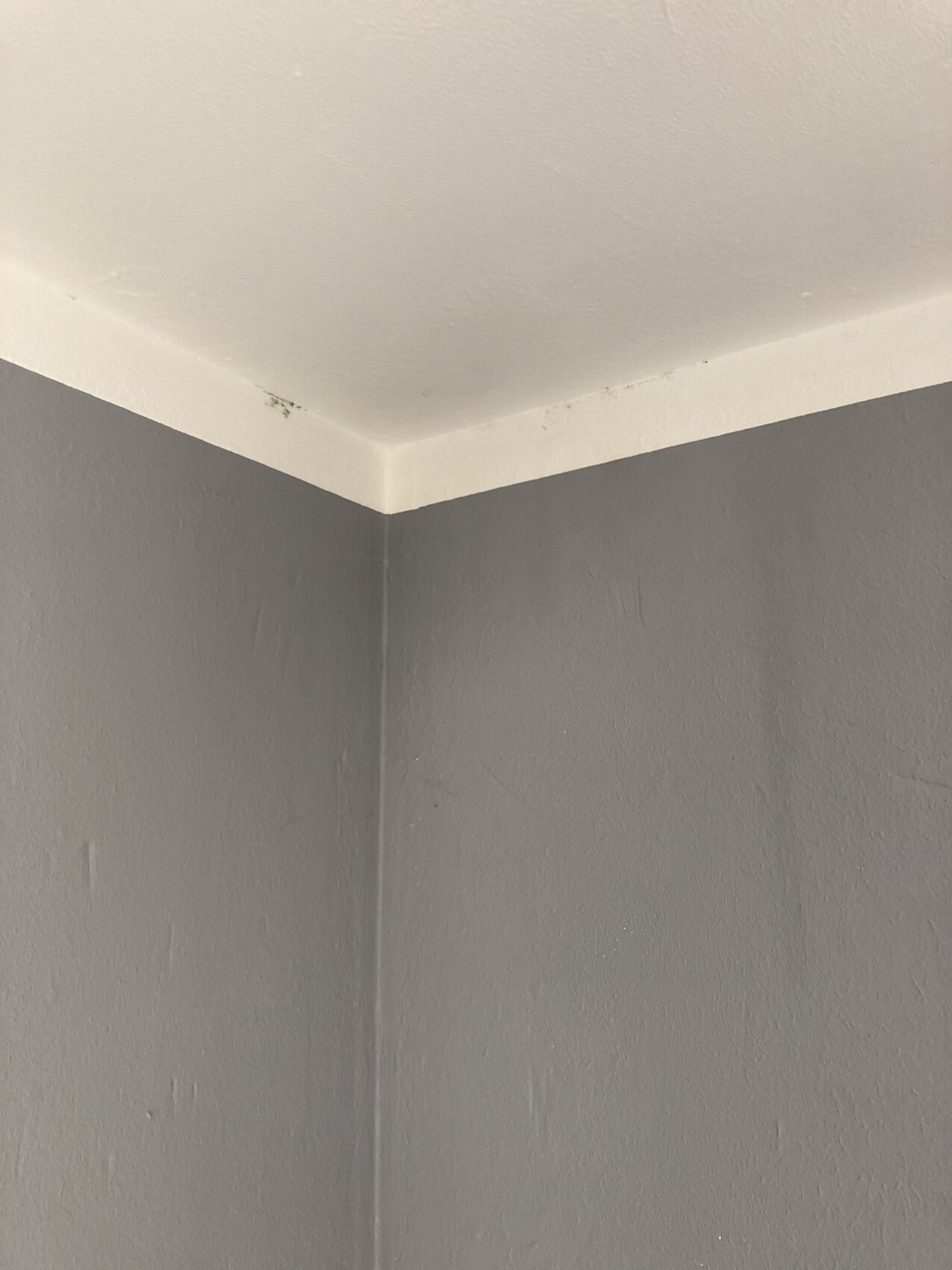Angle of two gray walls under a white ceiling with small spots on the edge.