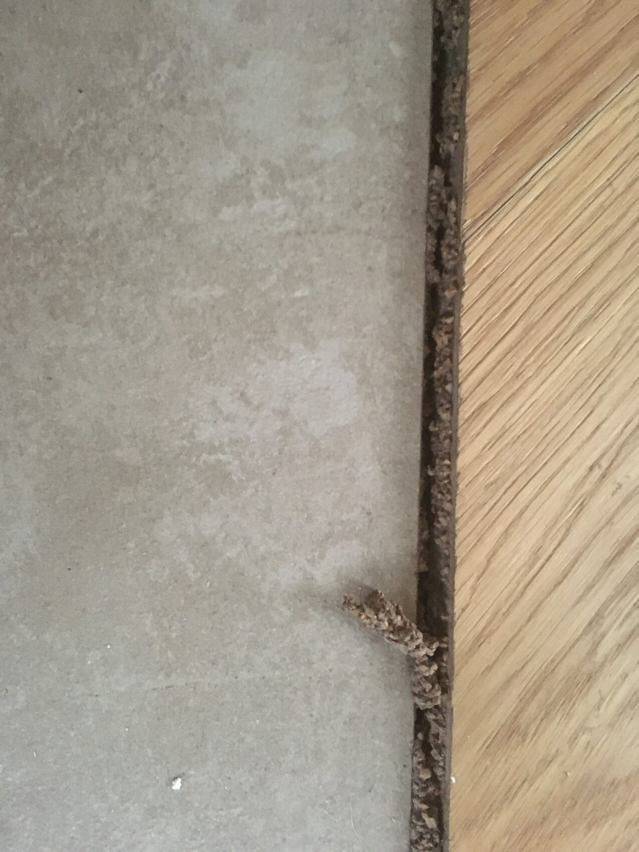 Rusty metal edge separates concrete floor (left) from wood floor (right), rust stains visible.