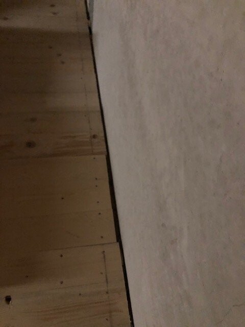 Wooden floor on the left, light wall on the right; corner between floor and wall.