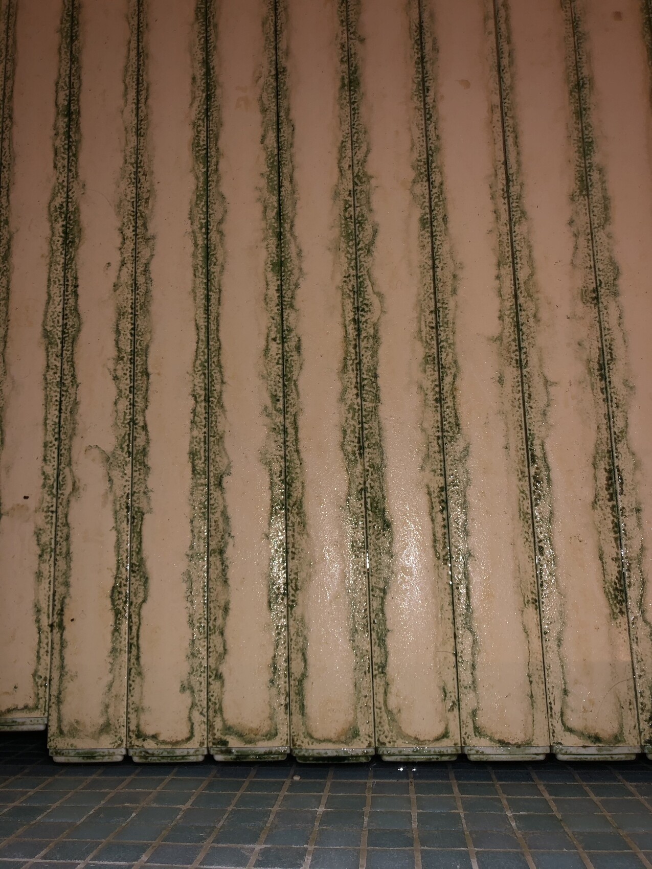Several vertical beige wall panels with green mold in the joints; floor tiles visible.