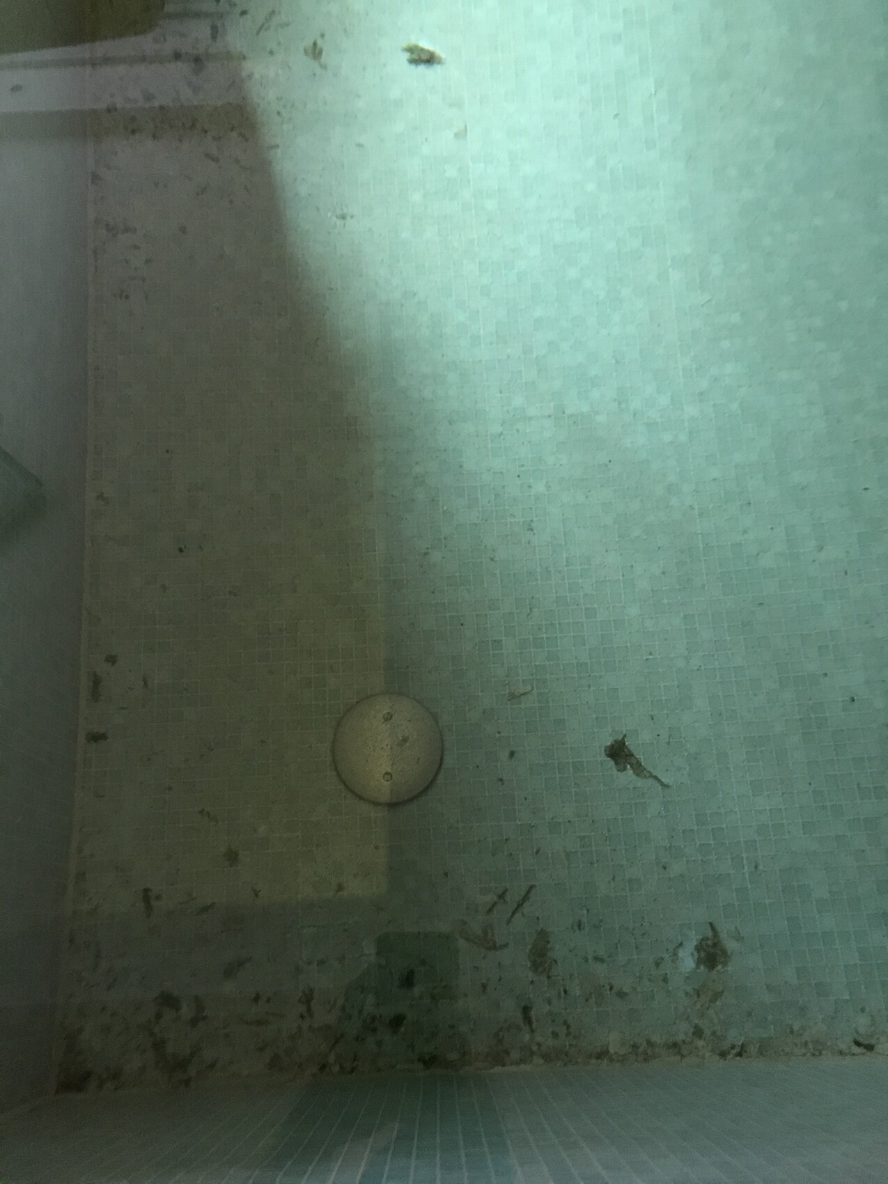 Shower with small mosaic floor, round drain in the middle and dirt on the floor.
