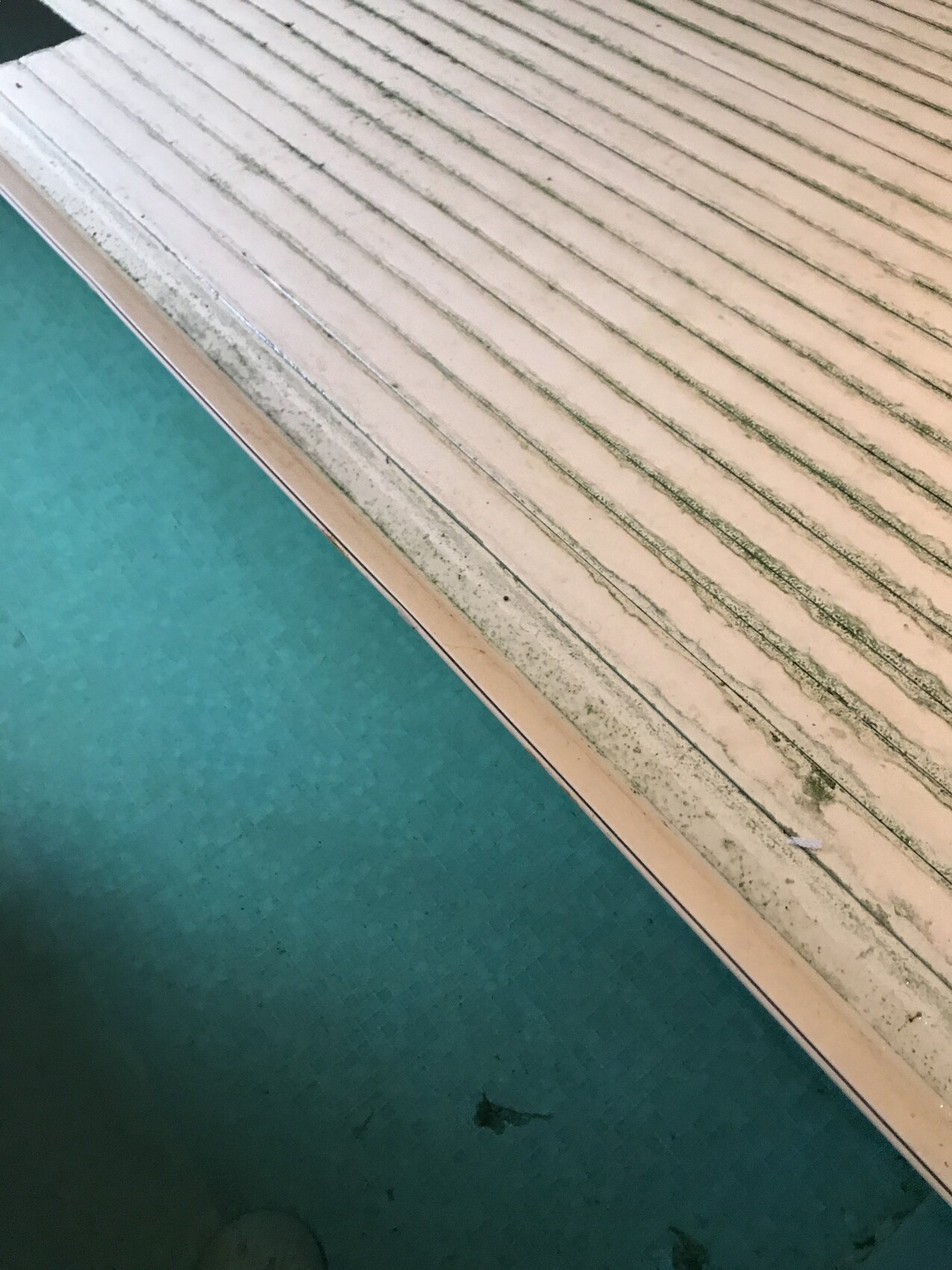 Close-up of a curved pool edge: beige steps with grooves next to turquoise water.