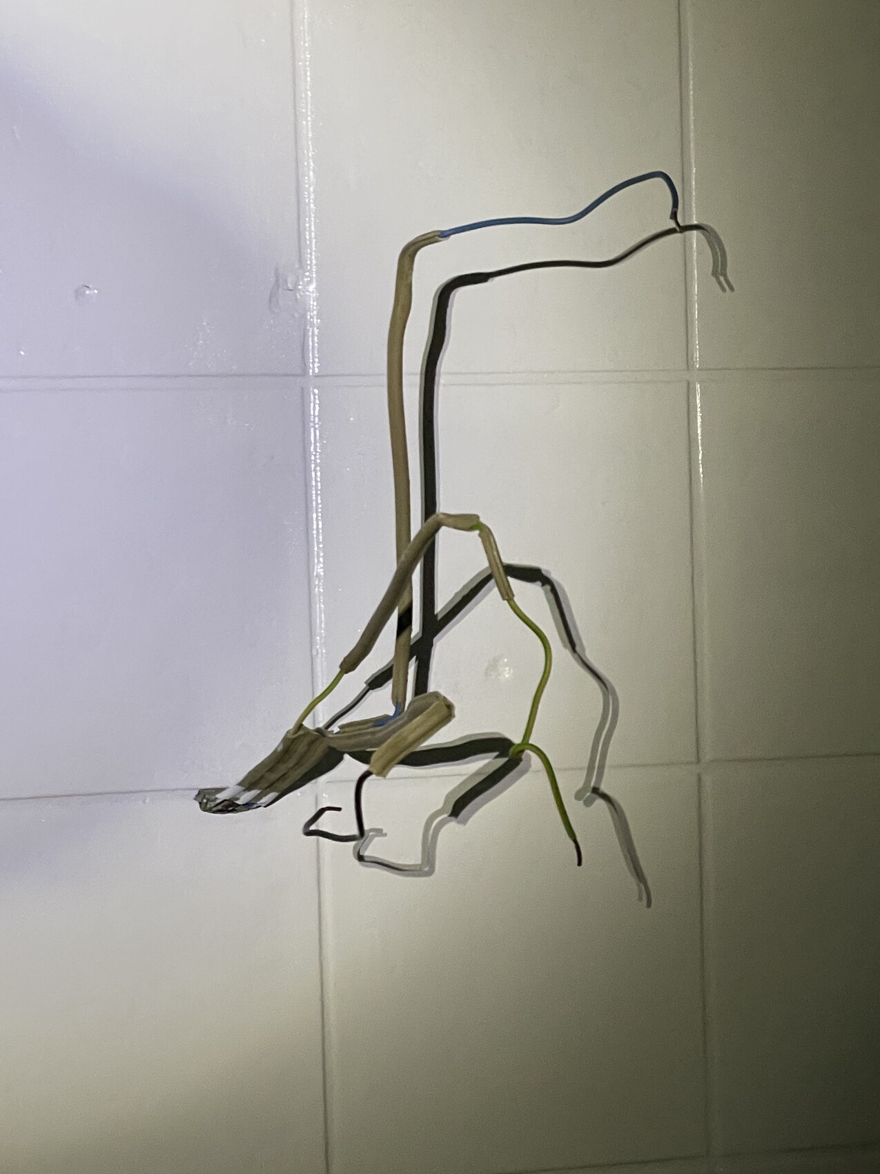 Open electrical cables hanging loose on wall tiles, construction defects