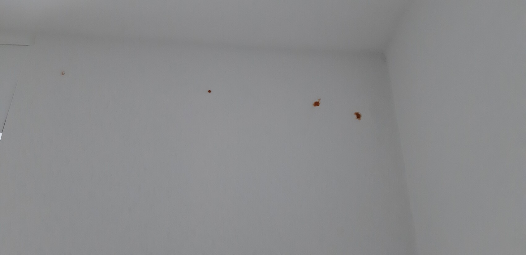 Weiße Innenwand mit drei kleinen braunen Flecken.
