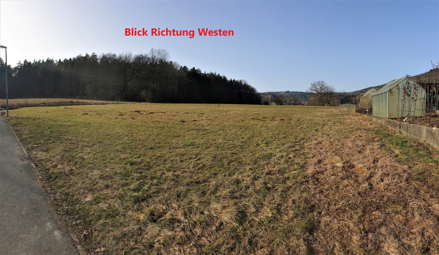 Large field with path edge on the left, row of trees in the background, greenhouses on the right, blue sky.