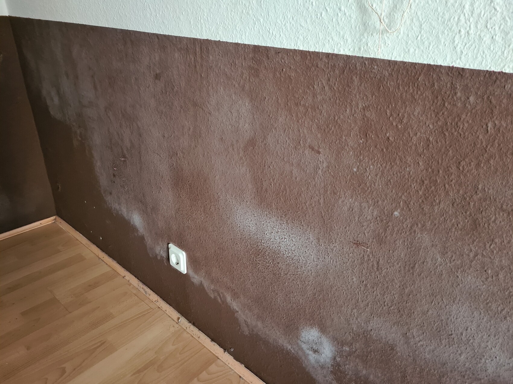 Brown, damp wall with spots and white mold, socket low on the wall, wooden floor.