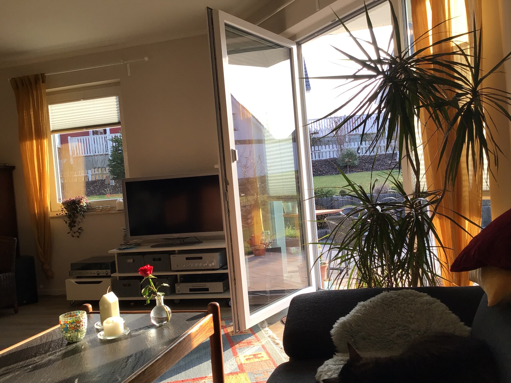 Sonniges Wohnzimmer mit offener Balkontür, TV, Zimmerpflanzen, Kerzen, Rose auf Tisch, Katze auf Sofa