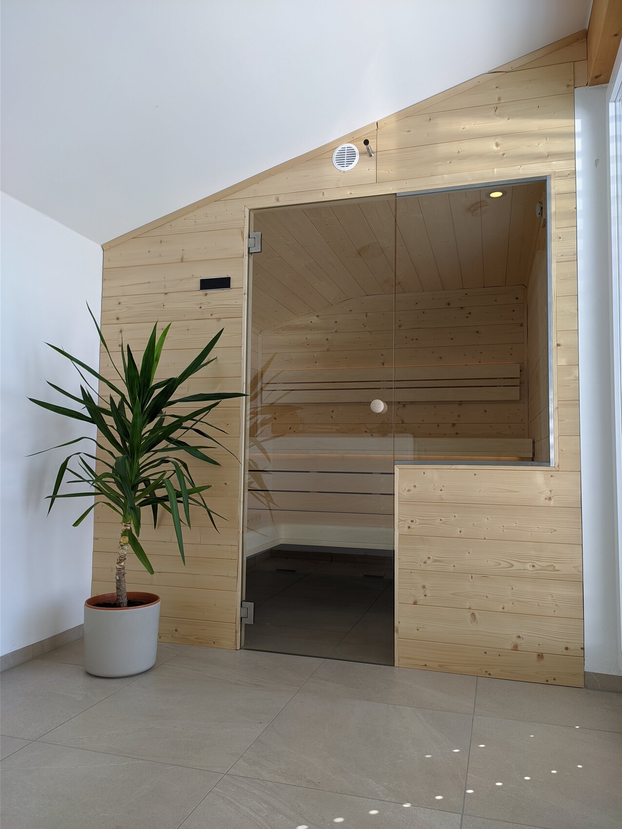 Modern wooden sauna with glass door inside; next to it a potted plant.