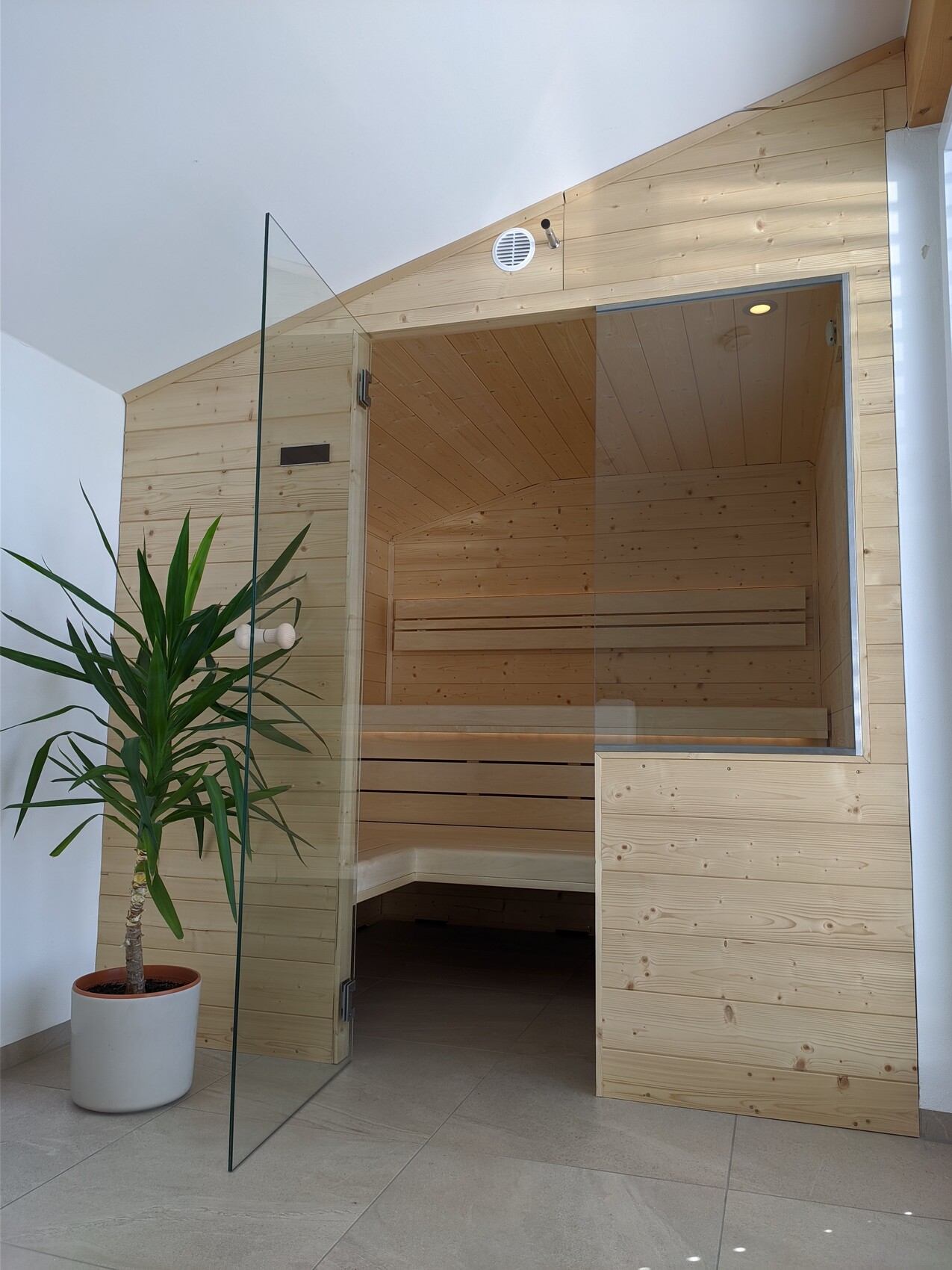 Small bright wooden sauna with open glass door, interior made of wood and benches; plant in the foreground.