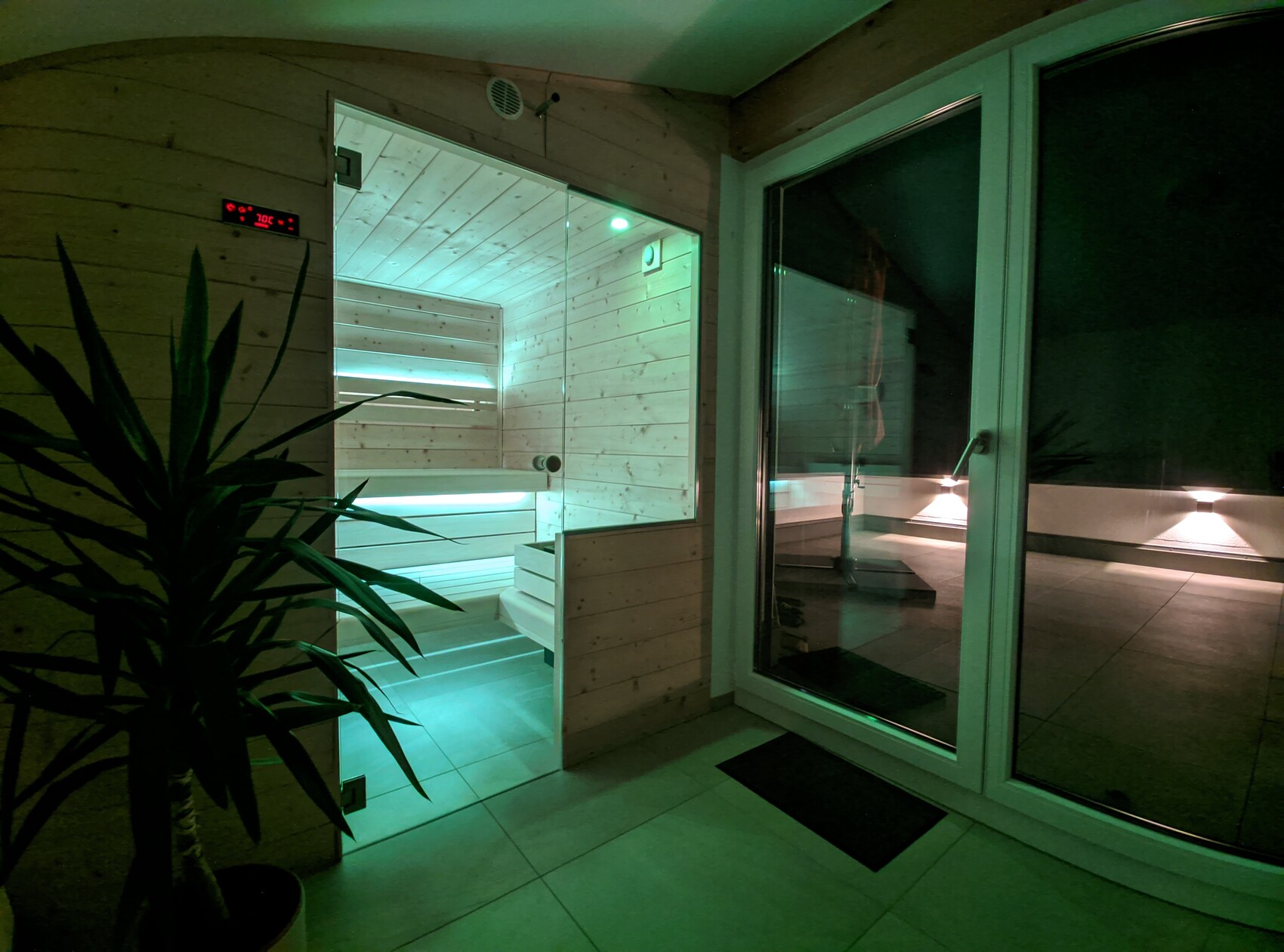 Green light in wooden sauna, glass door to terrace, plant in foreground