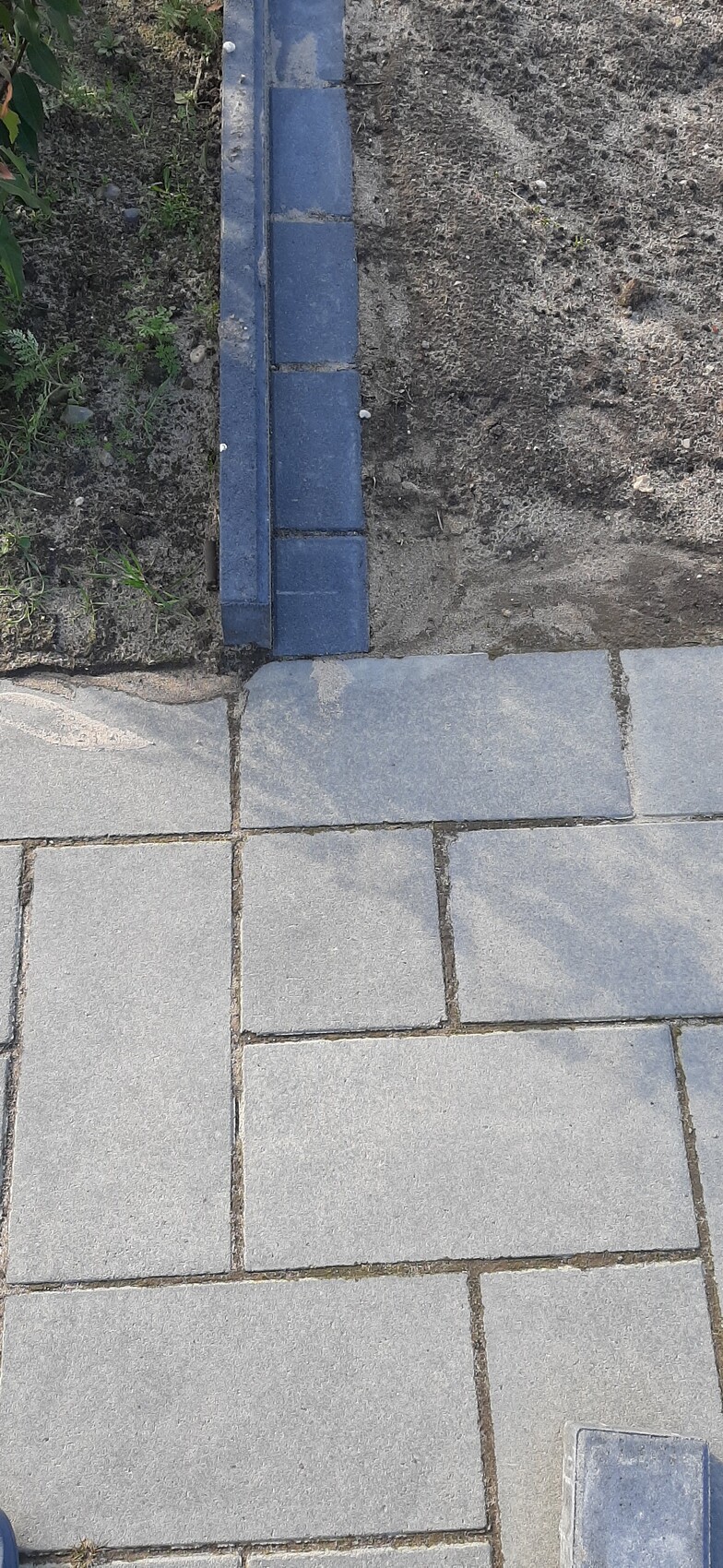 Blue stone border next to soil strip with plants and gray paving slabs.