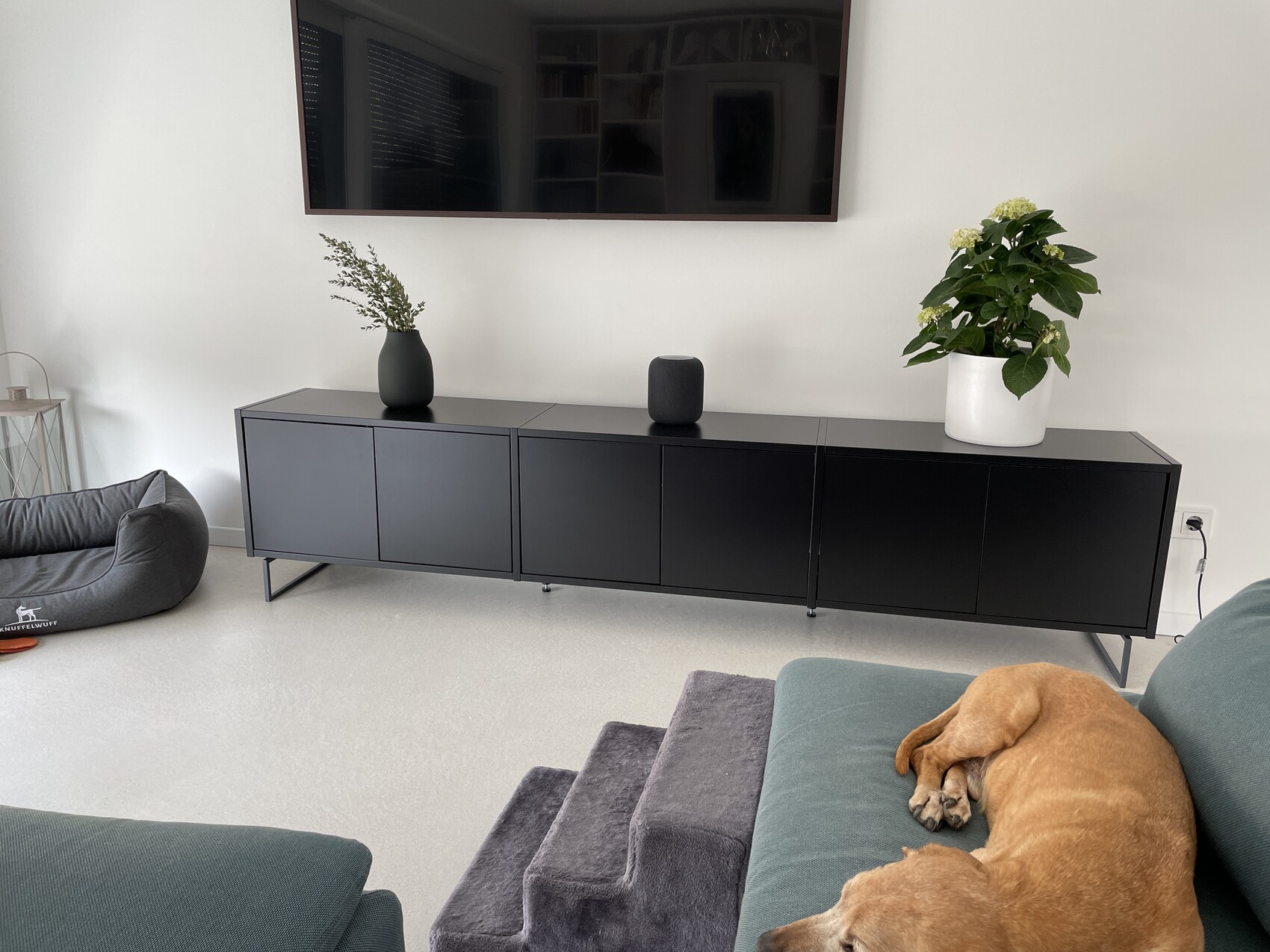 Living room with black sideboard, TV above, plant in white pot, sleeping dog on sofa
