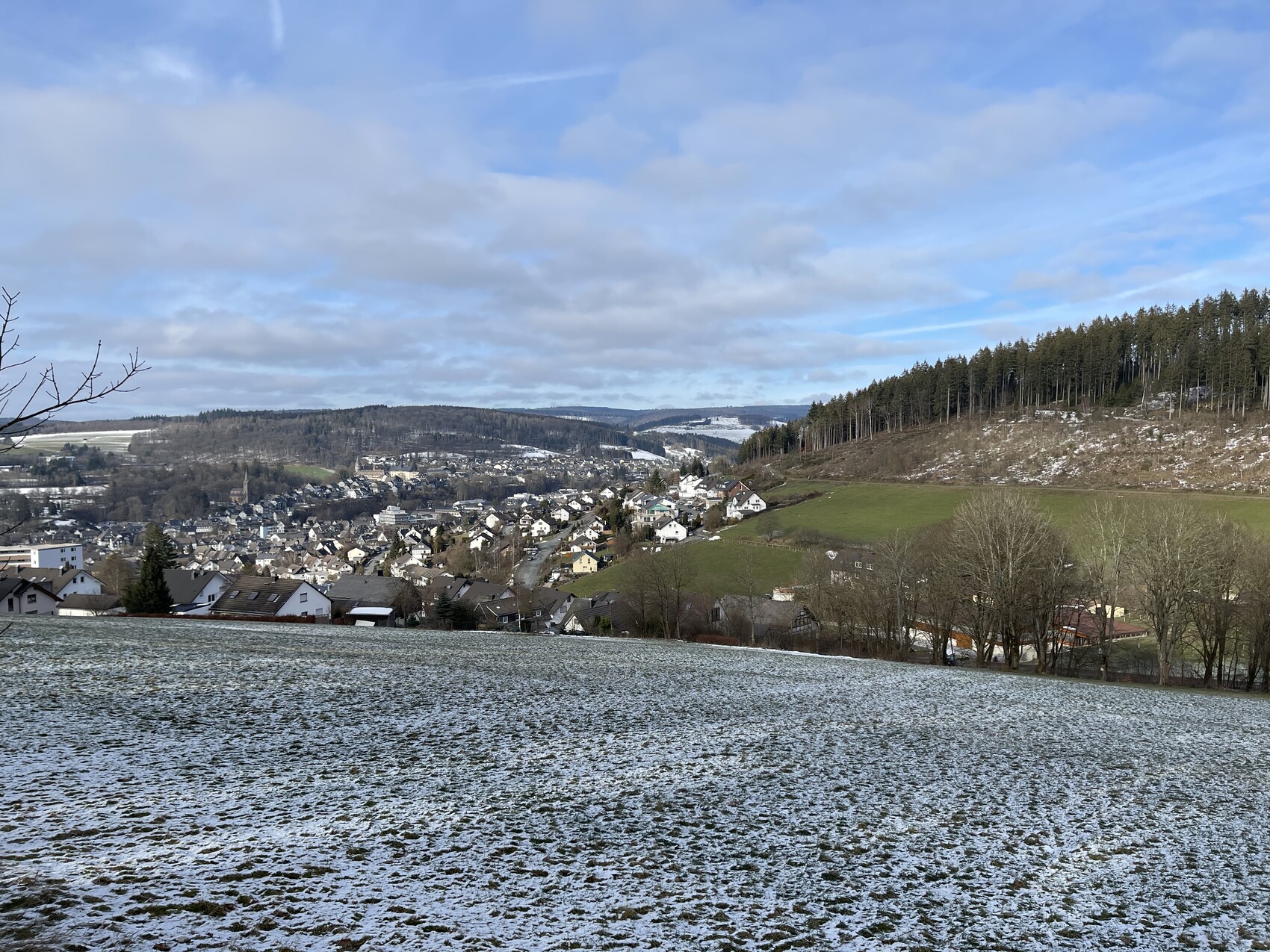 Small village in a winter valley: houses on the valley floor, forested right slope, snow-covered fields.