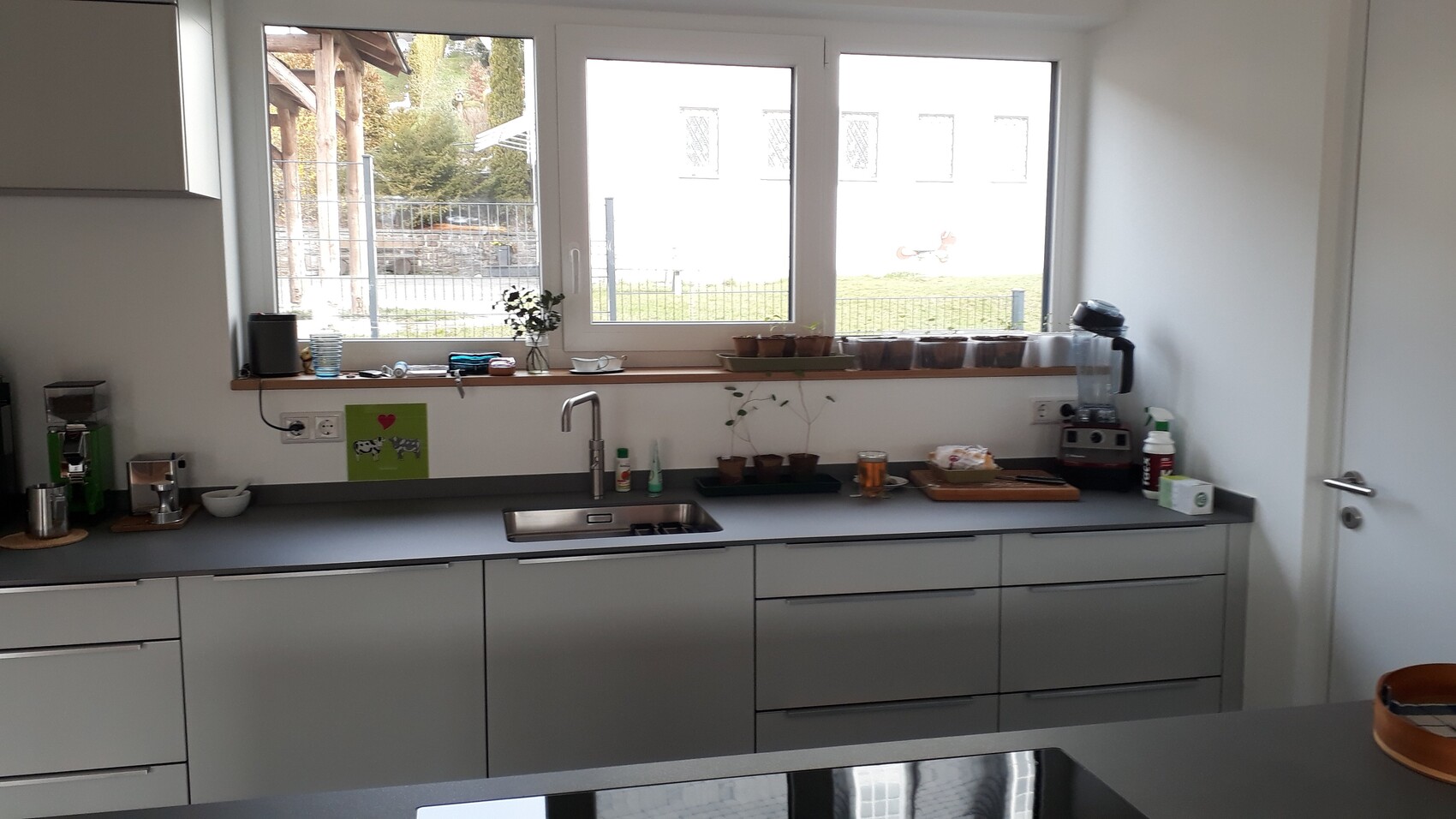Modern kitchen with sink under window, windowsill with small plant, coffee machine and blender.