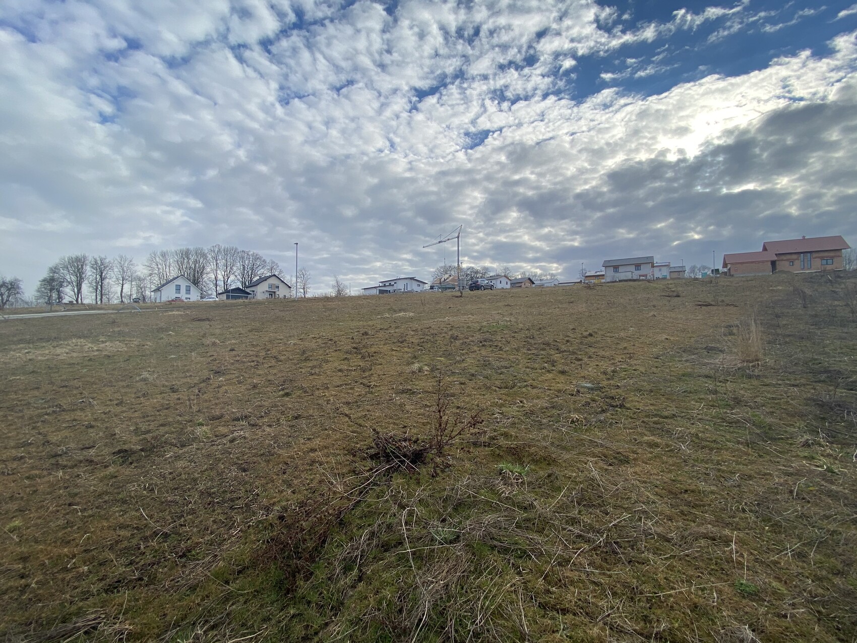 Offenes Feld mit einigen Sträuchern, Häusern am Horizont, Baukran im Zentrum, unter wolkigem Himmel.