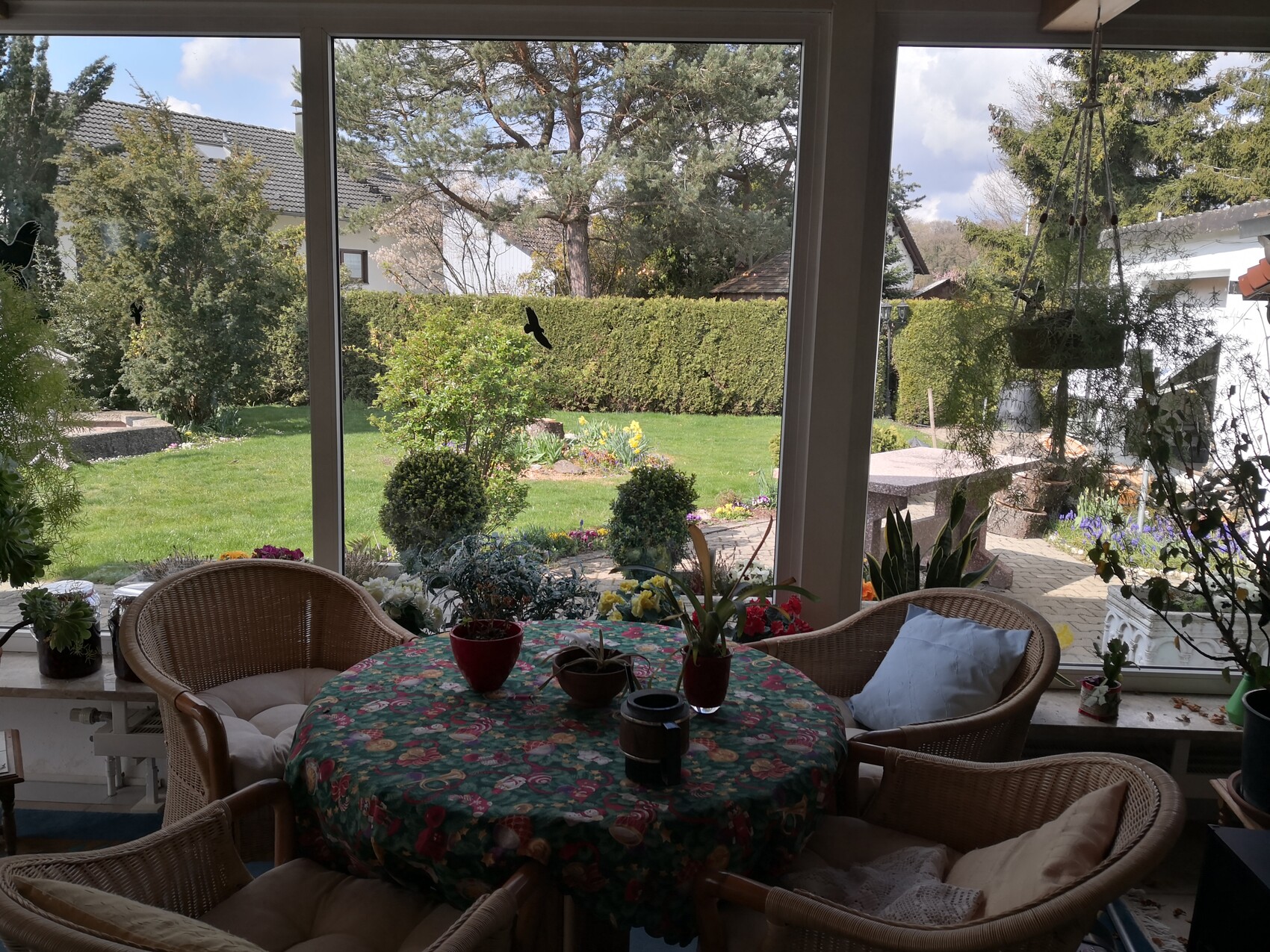 Bright conservatory with round table, wicker chairs and floral tablecloth; garden outside, hanging plant.