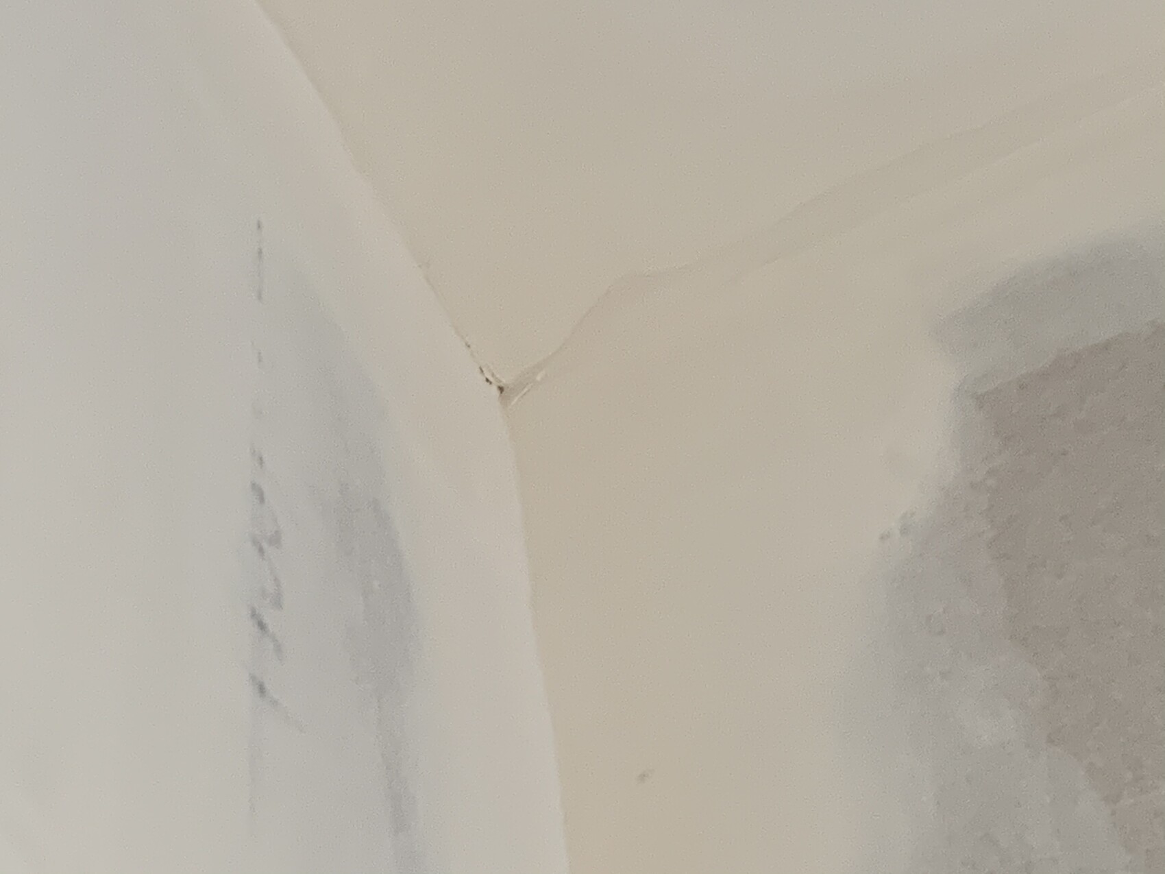 Close-up of white porcelain with fine hairline crack between two round areas.