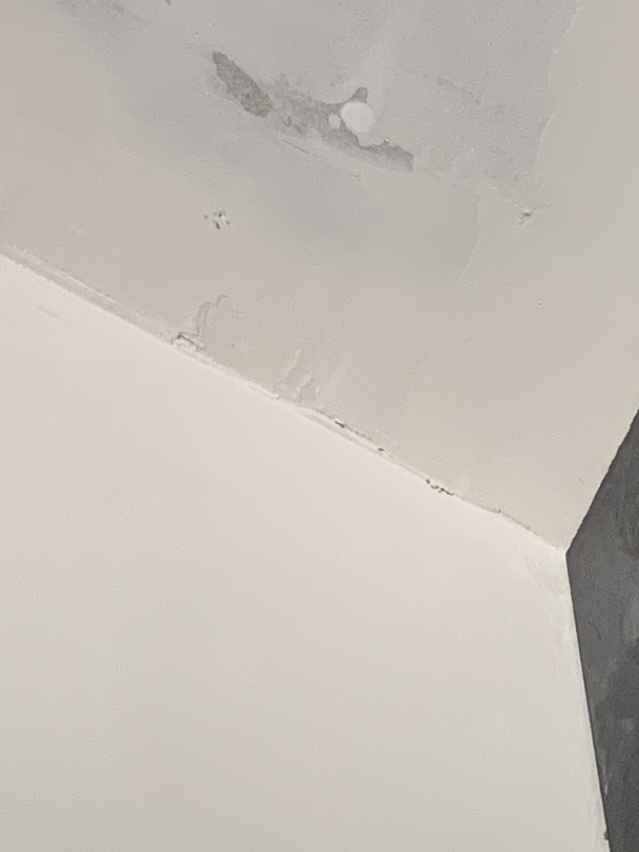 Angle of wall and ceiling with chipped plaster and plaster damage.