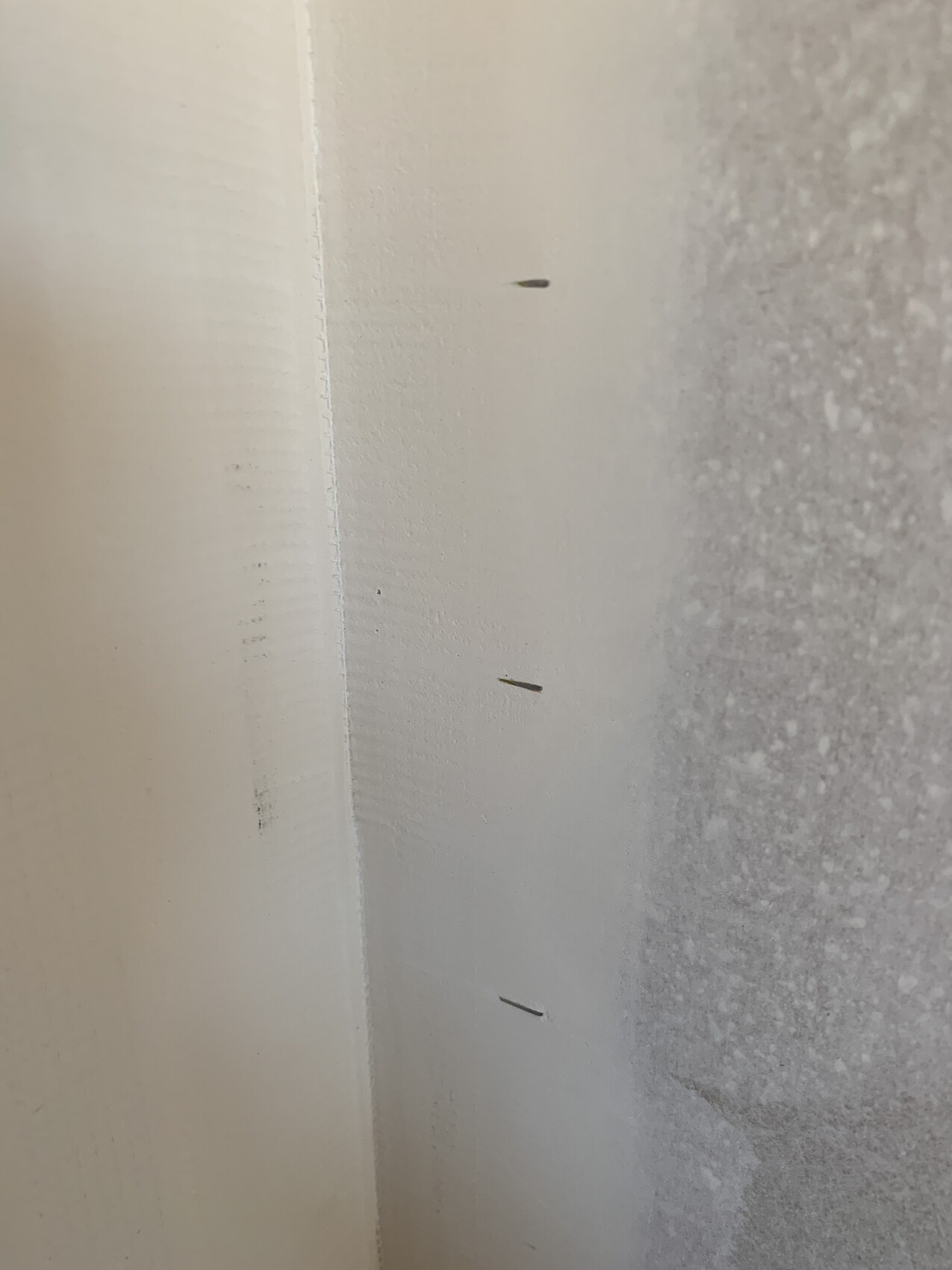 Close-up of interior wall corner with small nails in the plaster edge.