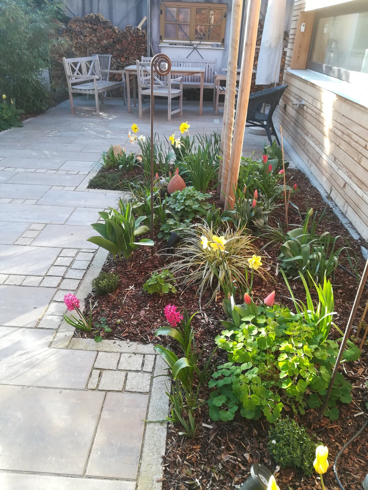 Garden bed with yellow daffodils, tulips, and green plants; terrace with wooden chairs in the background.